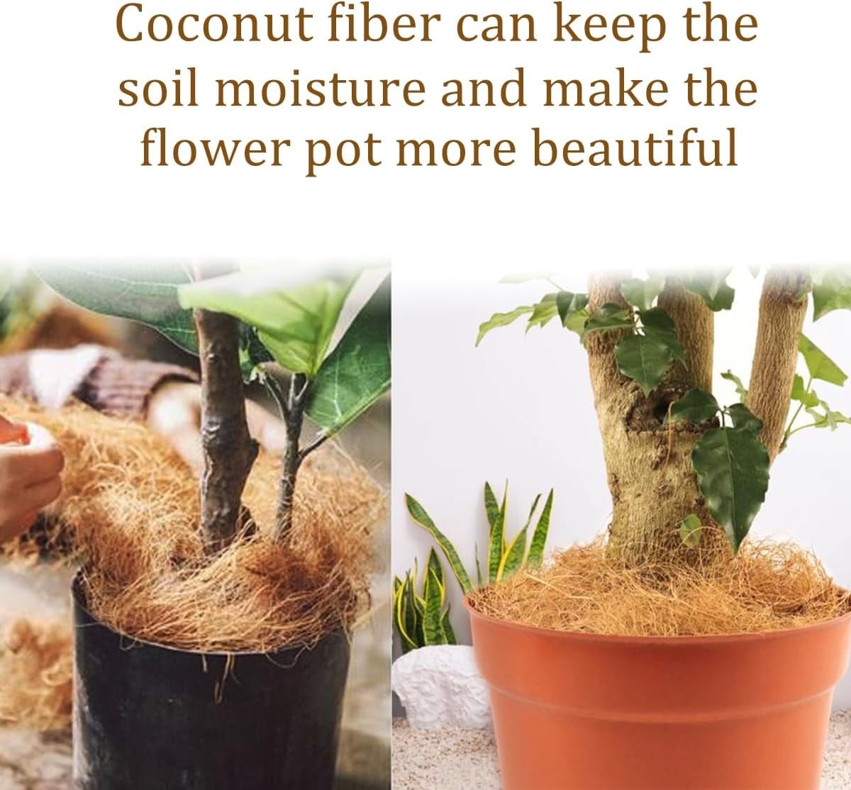 QZS Natural Coconut Coir Fiber Substrate for Plants and Pet Bedding (Brown, 8.8 oz) vr9vt