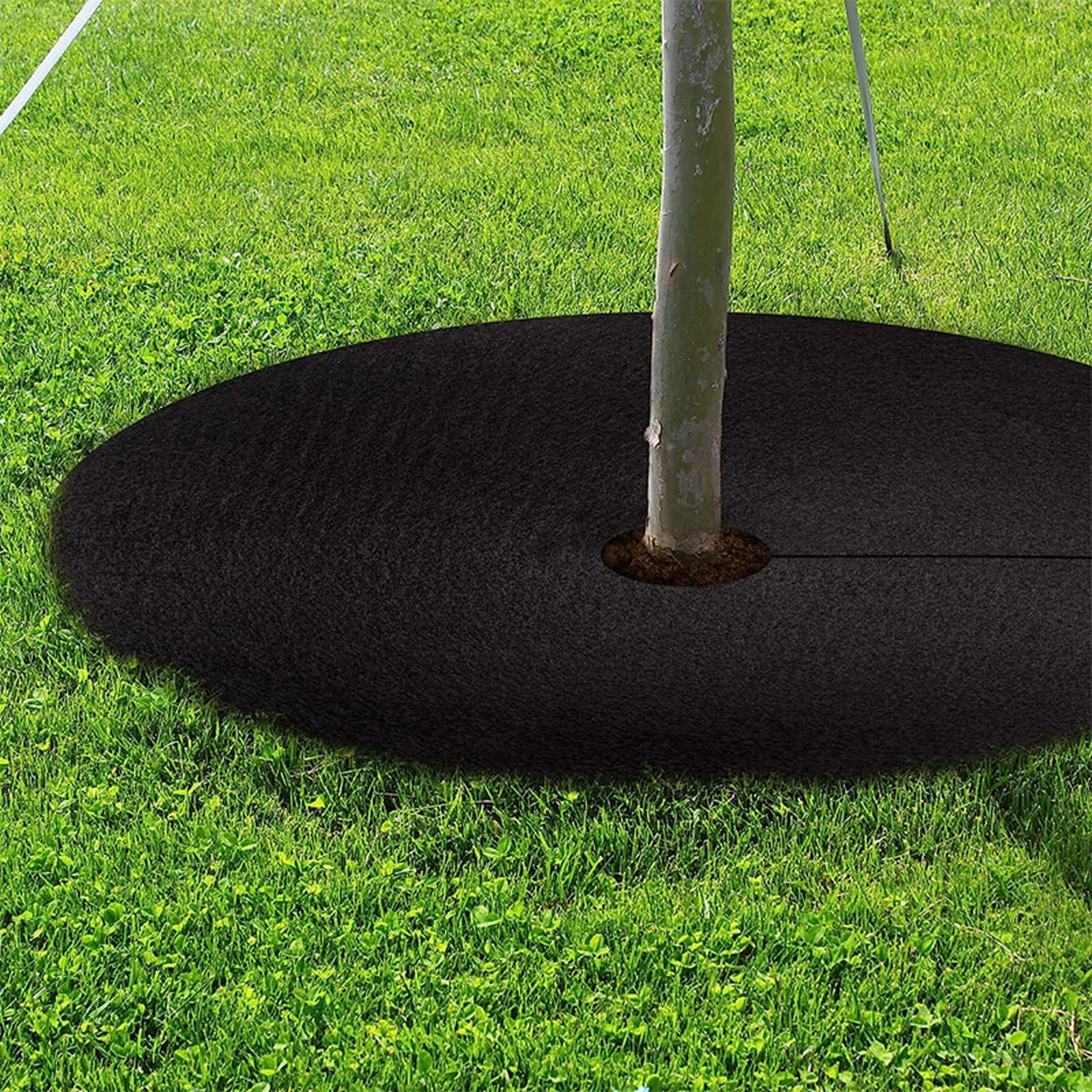 CuddleThreads Reusable Tree Mulch Rings for Root Control and Weed Barrier (Black, 5.9 in Diameter) 607or
