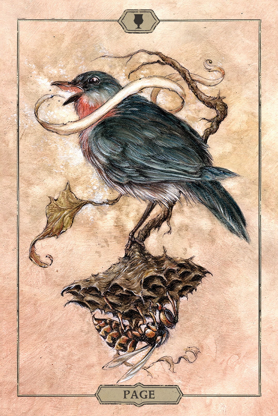 Jeremy Hush Tarot Deck (Hardcover, 78-Card Set) gm33e