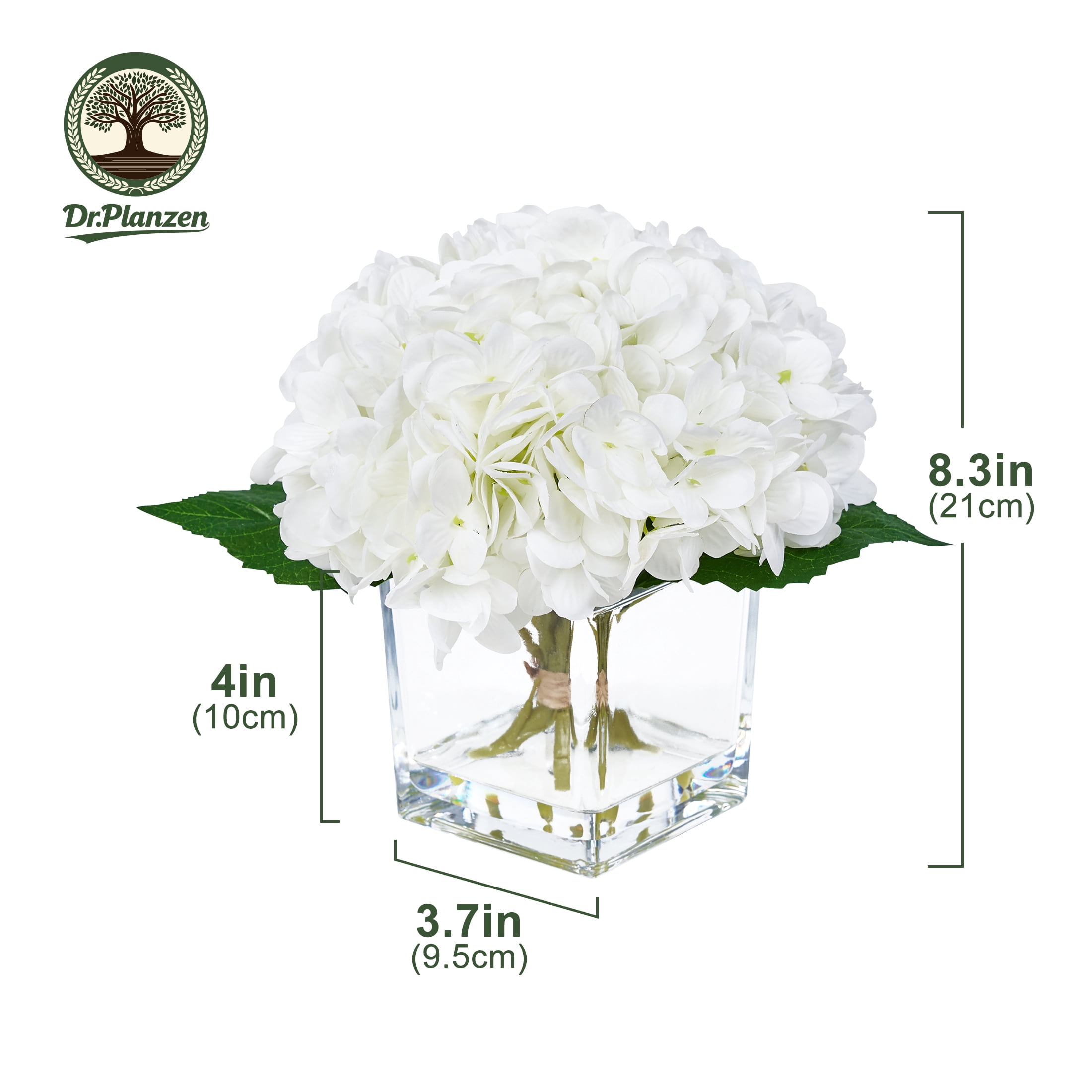 DR.Planzen Artificial White Hydrangea Floral Arrangement in Square Glass Vase (White, 8.3 in) 5zzzj