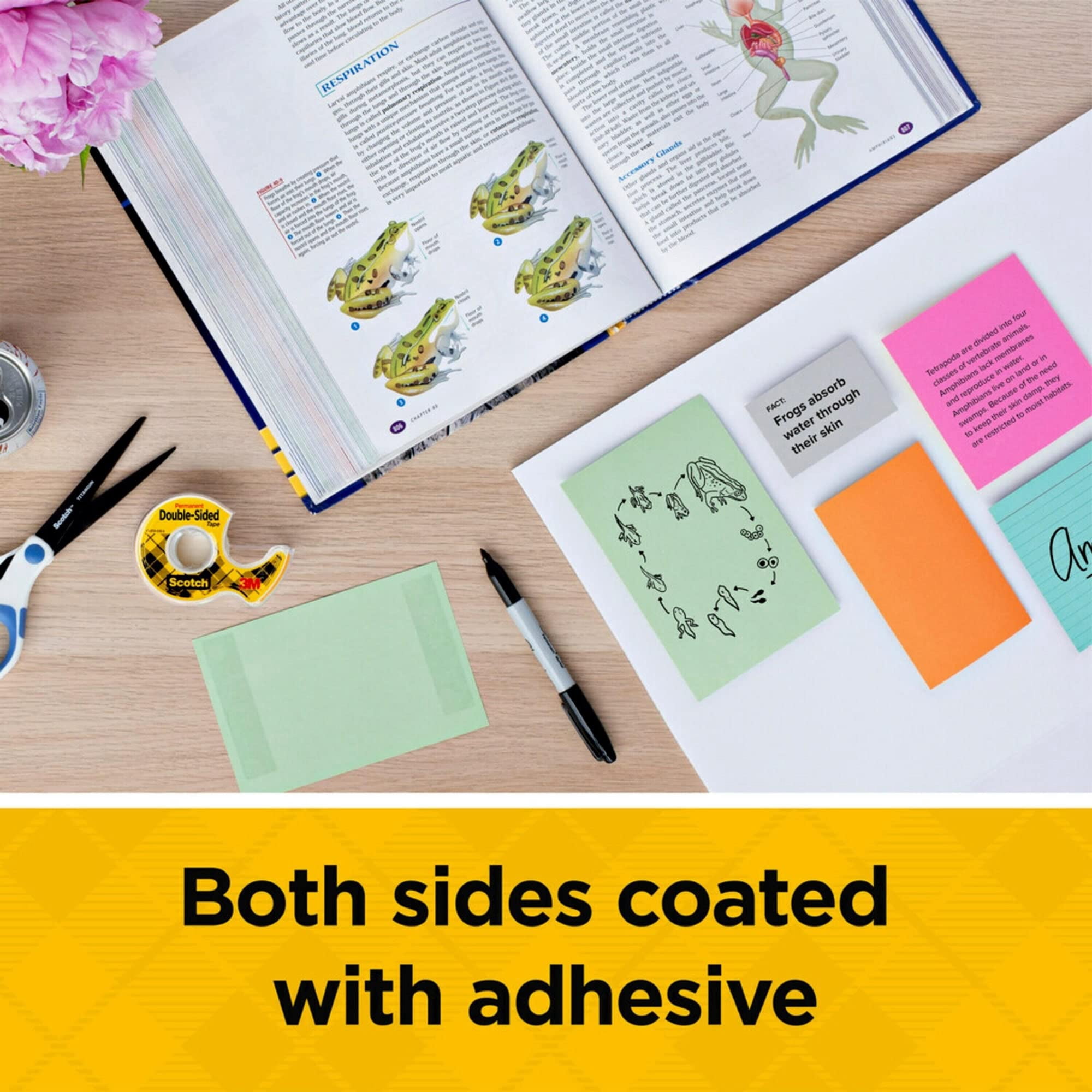 Scotch Double-Sided Permanent Tape, Strong Adhesive for Crafts and Office Projects (Clear, 0.5 in x 900 in, 2 Pack) y0t5j