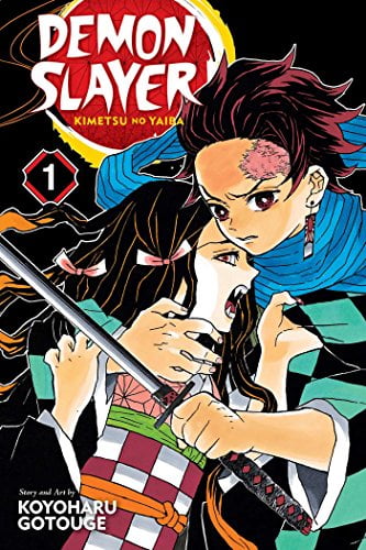 Koyoharu Gotouge Demon Slayer: Kimetsu No Yaiba, Vol. 1 (Pre-Owned Paperback) nn6a0
