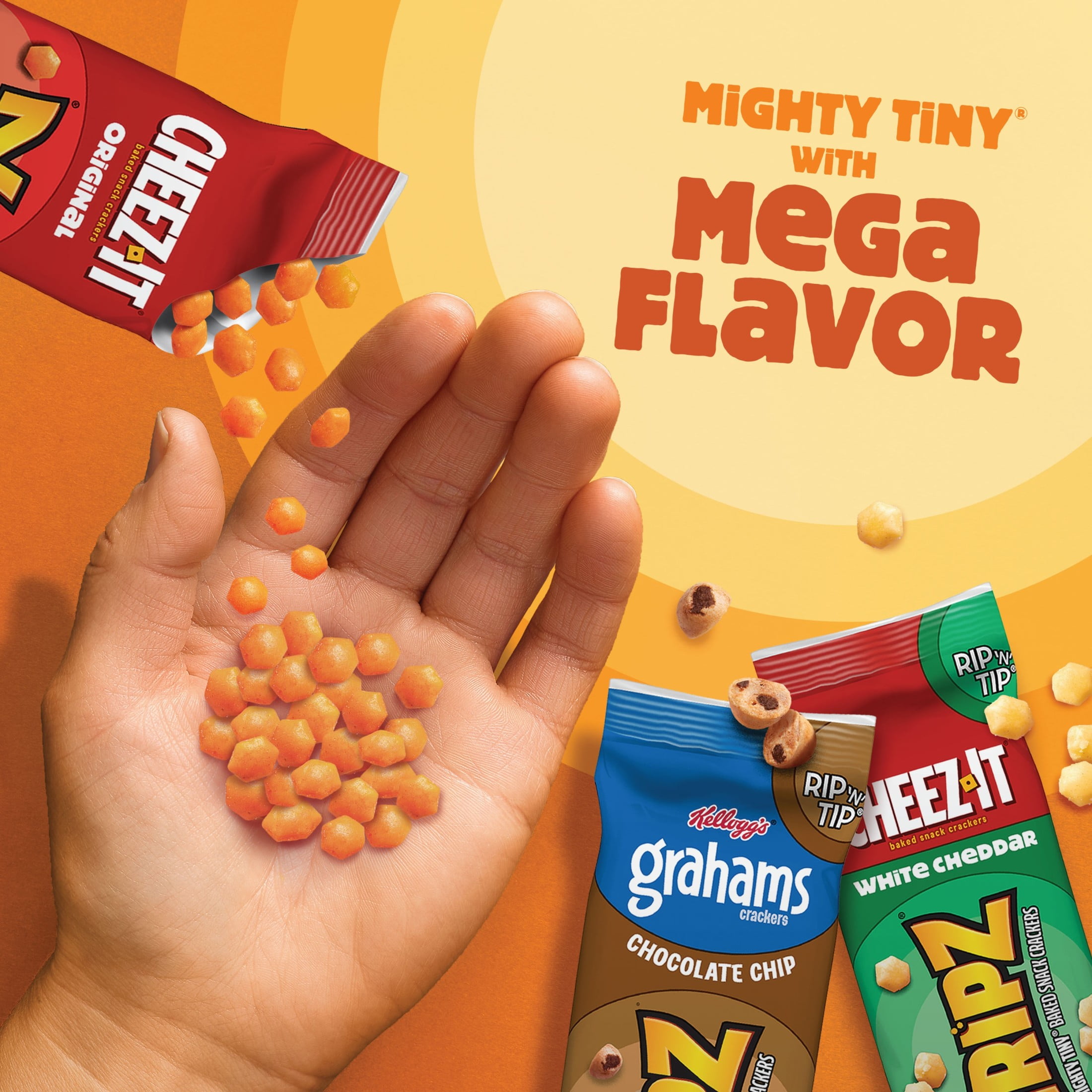 Cheez-It Gripz Variety Snack Pack, Baked Mini Crackers and Grahams (9 oz, 10 Count) fupnh
