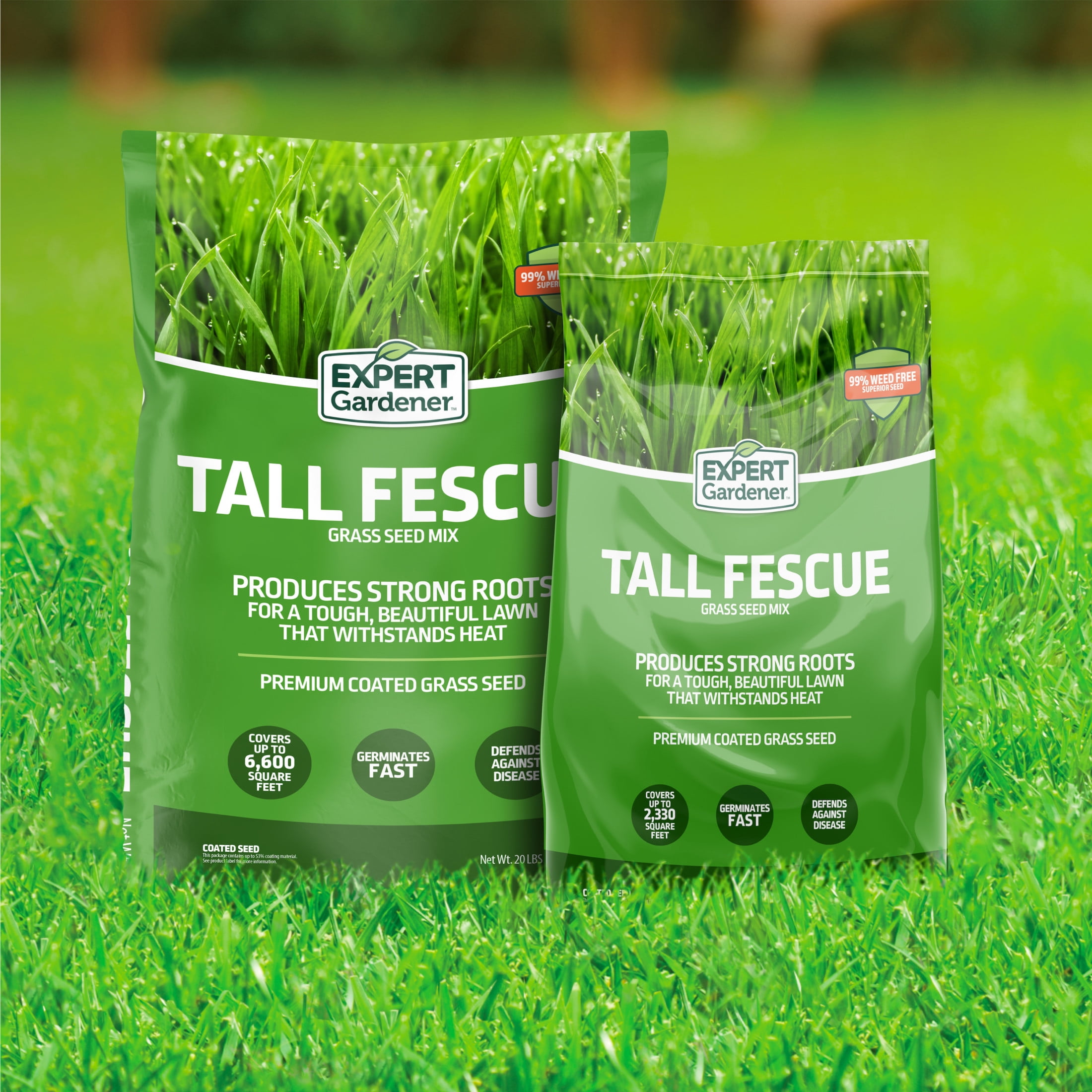 Expert Gardener Tall Fescue Grass Seed Mix (Sun to Partial Shade, 20 lb) m11y6