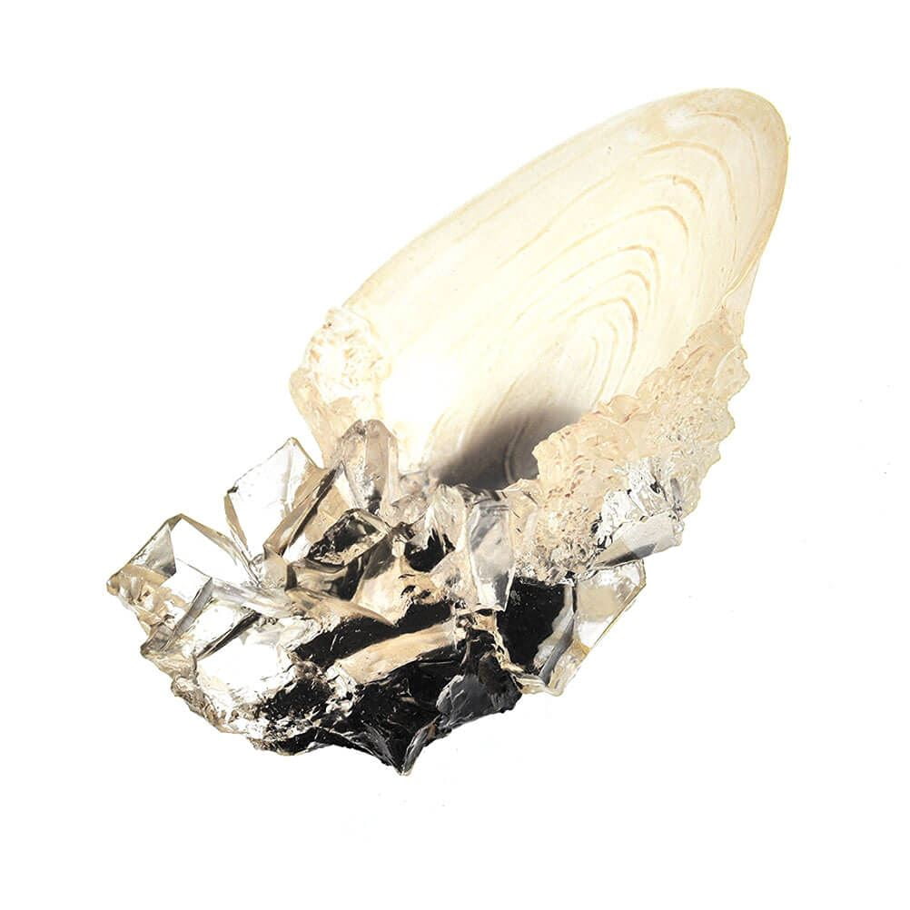 Harry Potter The Crystal Goblet Decorative Display Piece (Clear, 6.7 in x 4.0 in x 2.4 in) 394kc