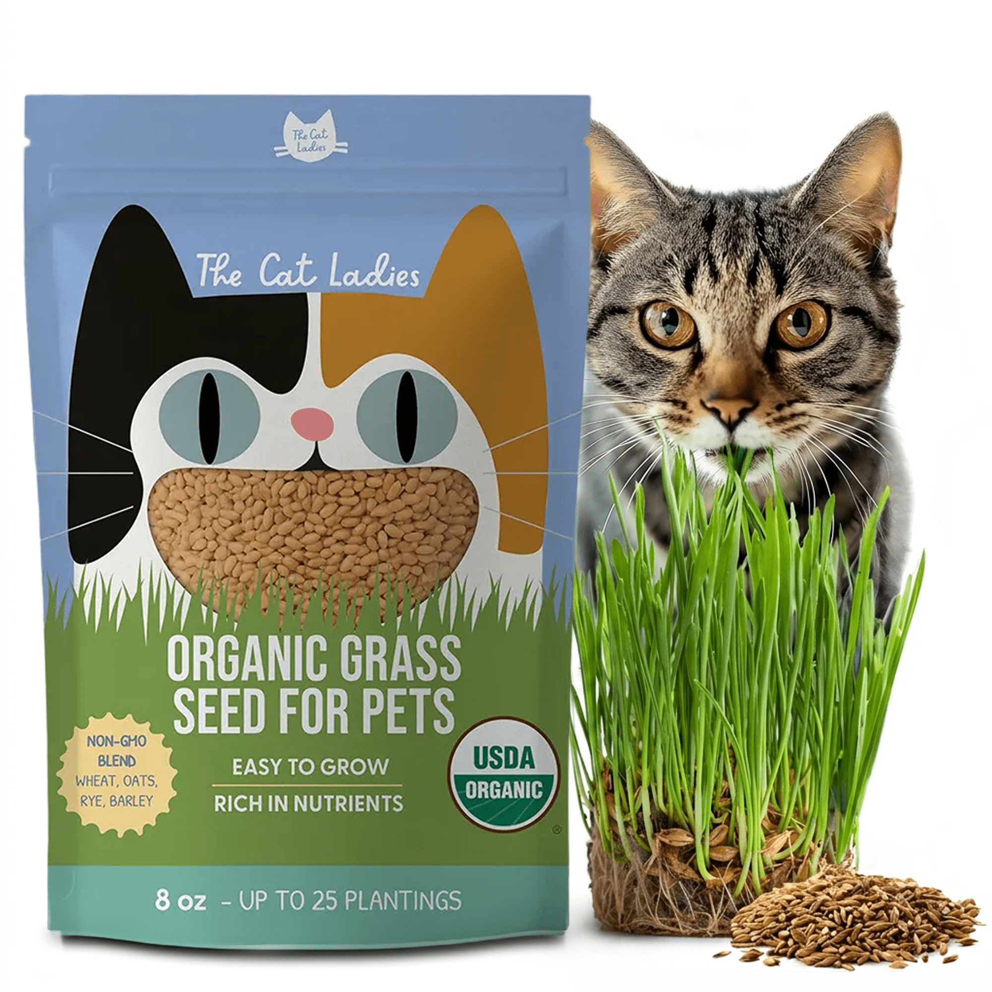 The Cat Ladies Organic Cat Grass Seed Blend (Wheat, Oats, Barley, Rye) Indoor Planting Kit (8 oz) 8bncp