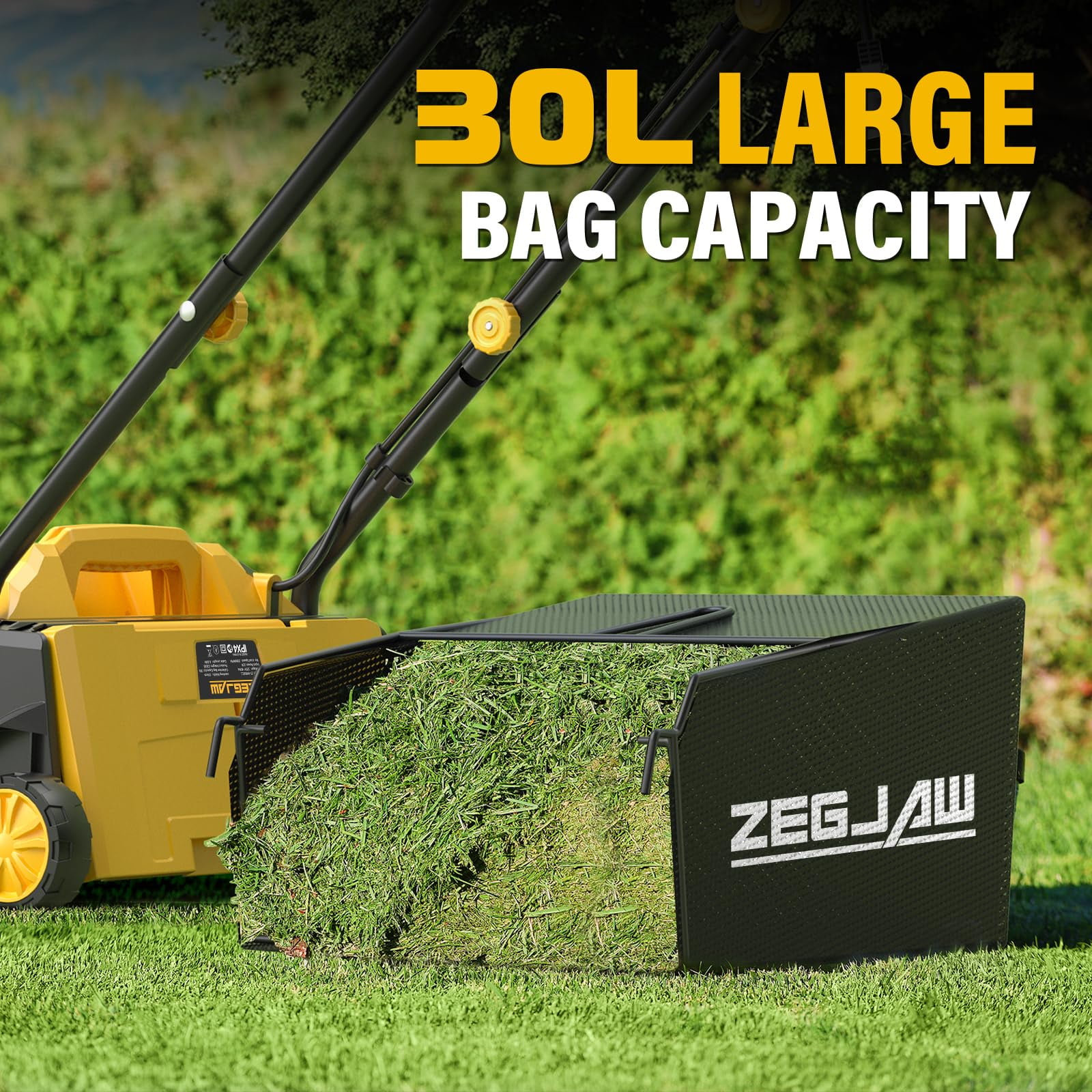 ZEGJAW Electric Dethatcher and Scarifier, 2-in-1 Lawn Thatch Remover with 4-Position Depth Adjustment (13 in, 12 Amps) 0bdvu