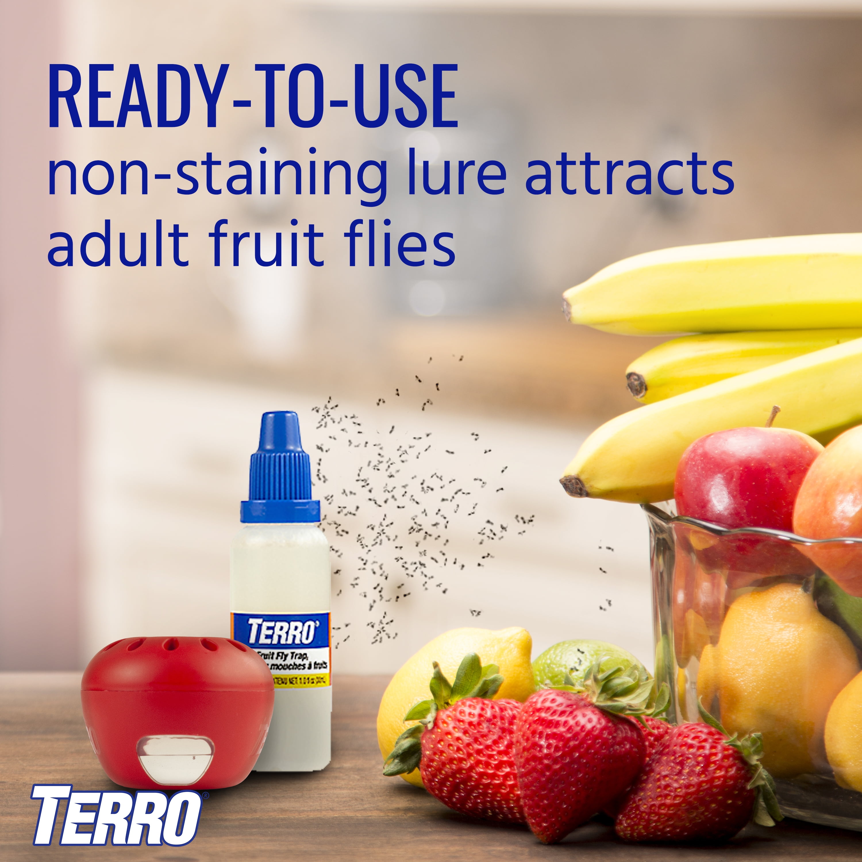 TERRO Fruit Fly Trap, Indoor Pest Control for Kitchen and Home (6 Pack) yp9gn