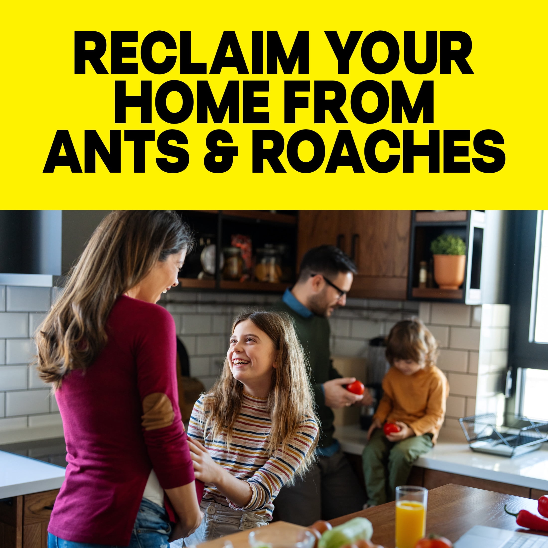 Raid Ant & Roach Killer Indoor Insecticide Spray (Fragrance Free, 20 oz) s92o8