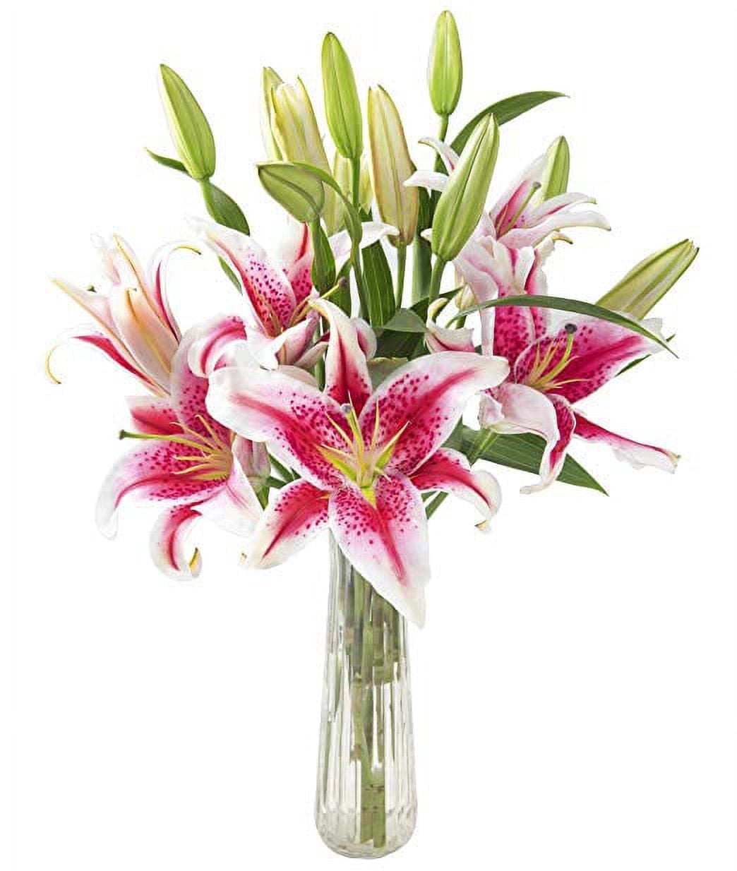 KaBloom Sailor's Sunset Fresh Pink Lily Bouquet with Glass Vase (Pink, 5 Stems) z342k