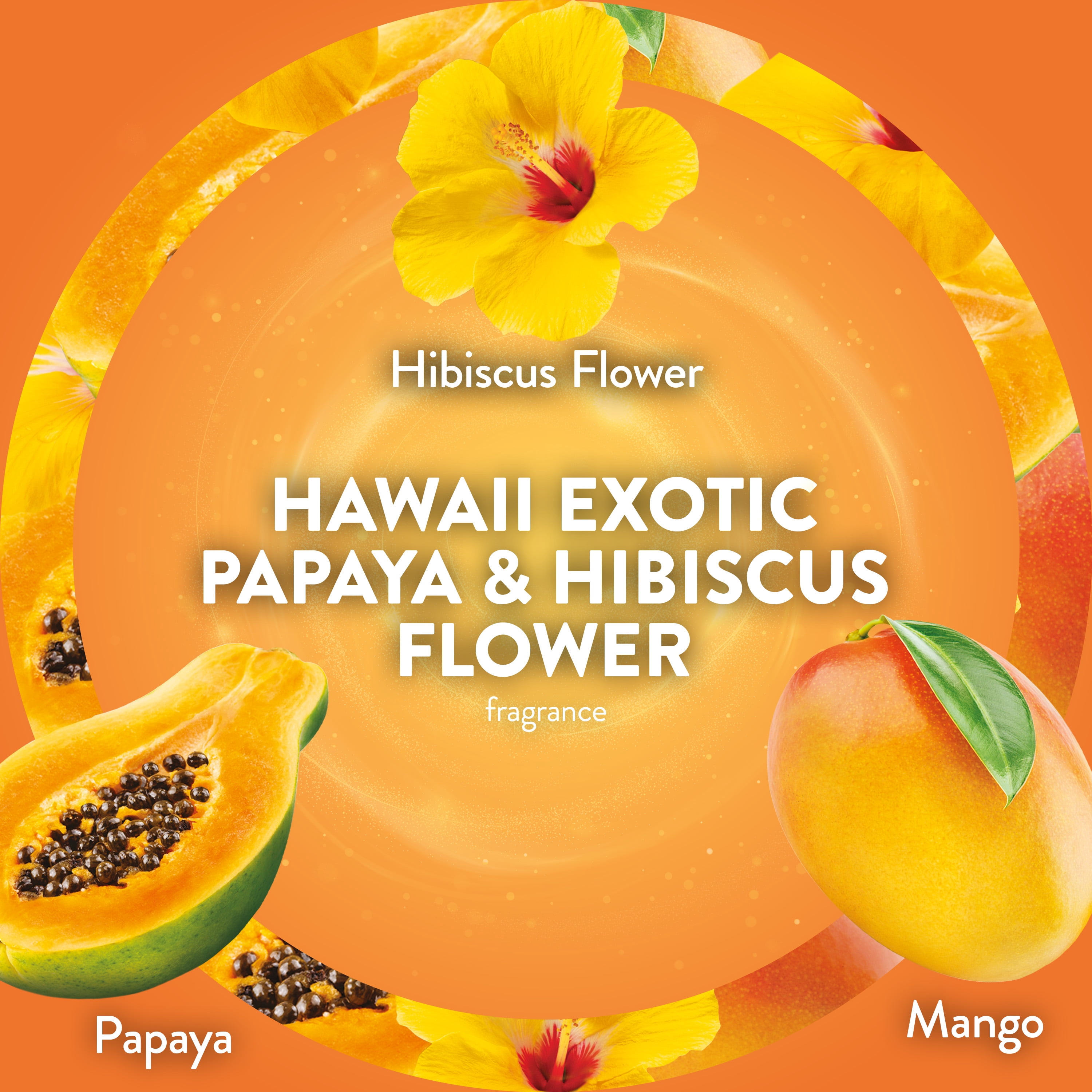 Air Wick Plug-In Scented Oil Air Freshener Refills, Hawaii Exotic Papaya and Hibiscus Flower (6 Count) ly1bs