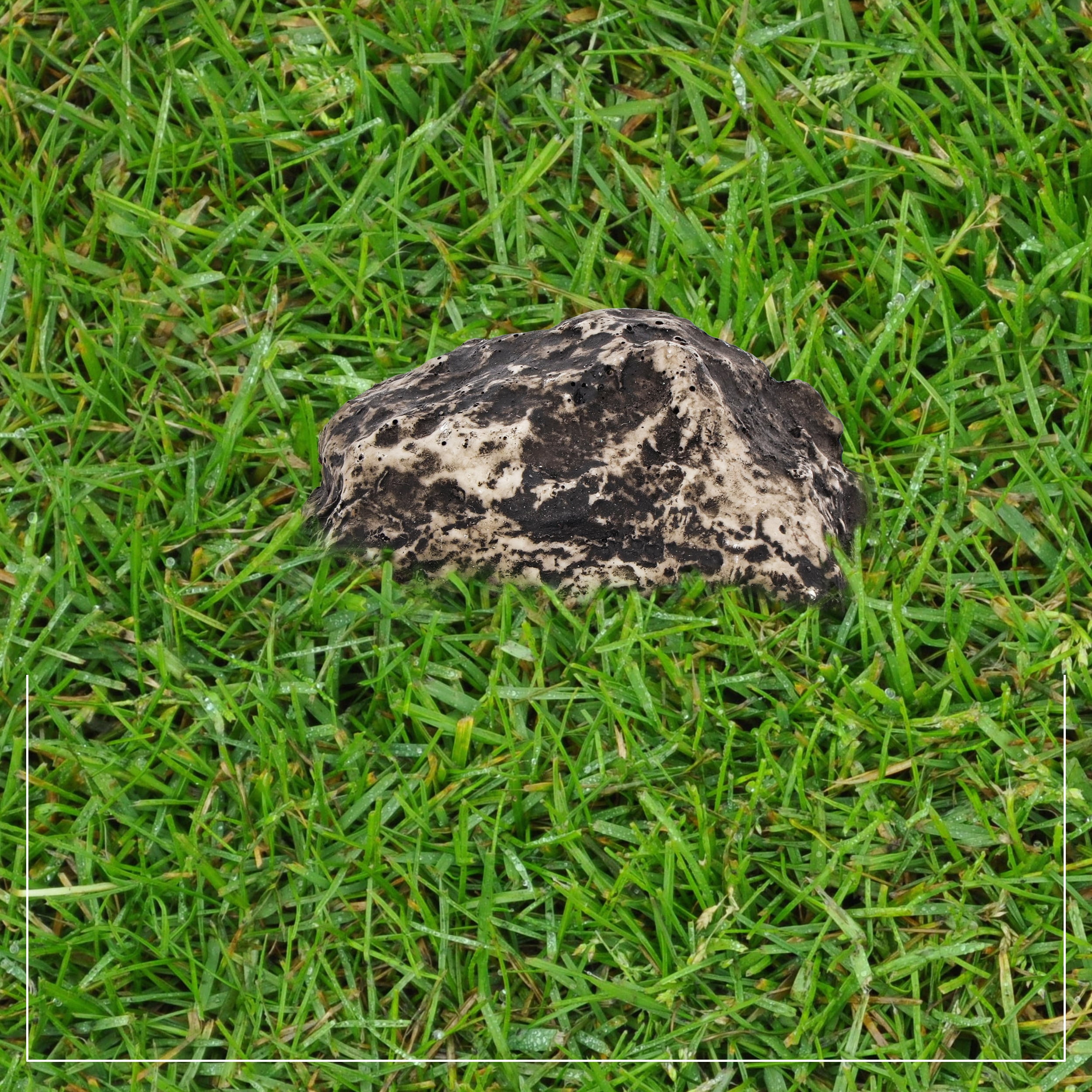 PLGEBR Outdoor Hide-a-Spare-Key Fake Rock (Black, 3.38 in x 2 in x 1.25 in) v8n91
