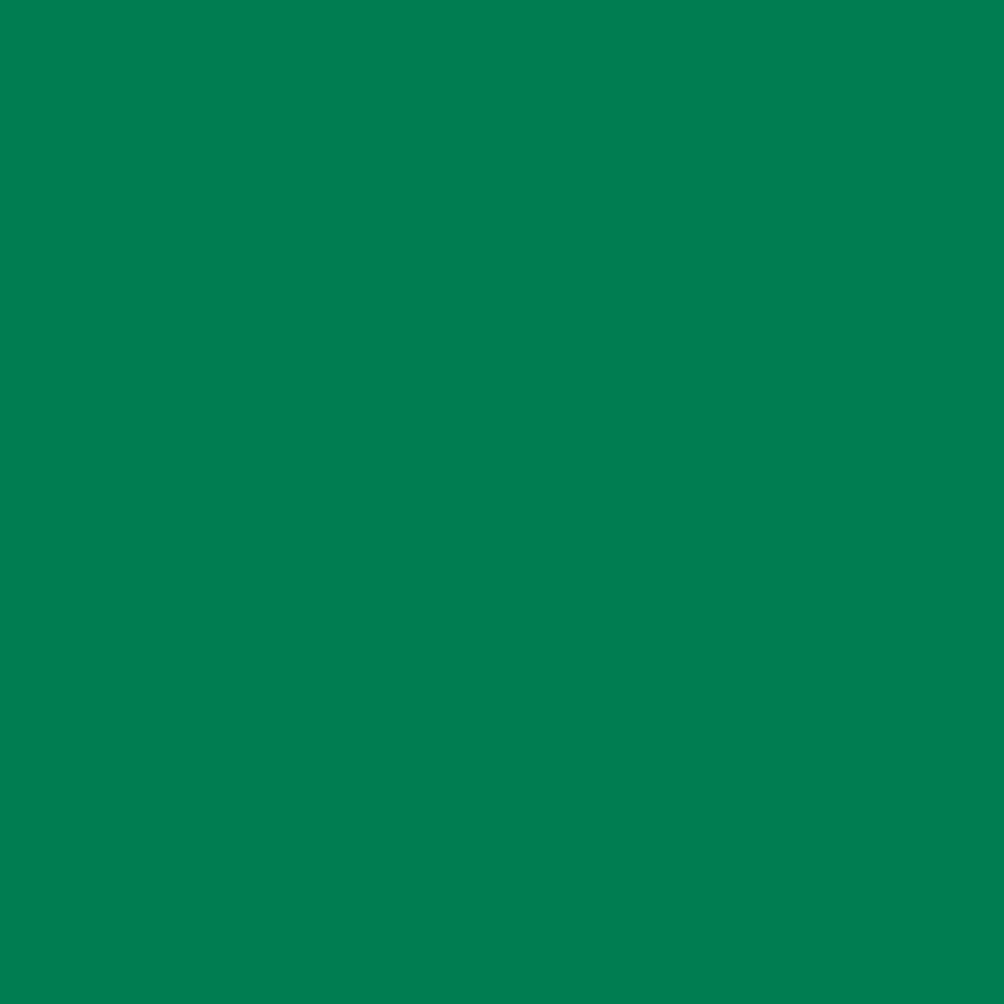 Cricut Smart Vinyl Permanent Adhesive Craft Material (Grass Green, 13 in x 3 ft) v4idq