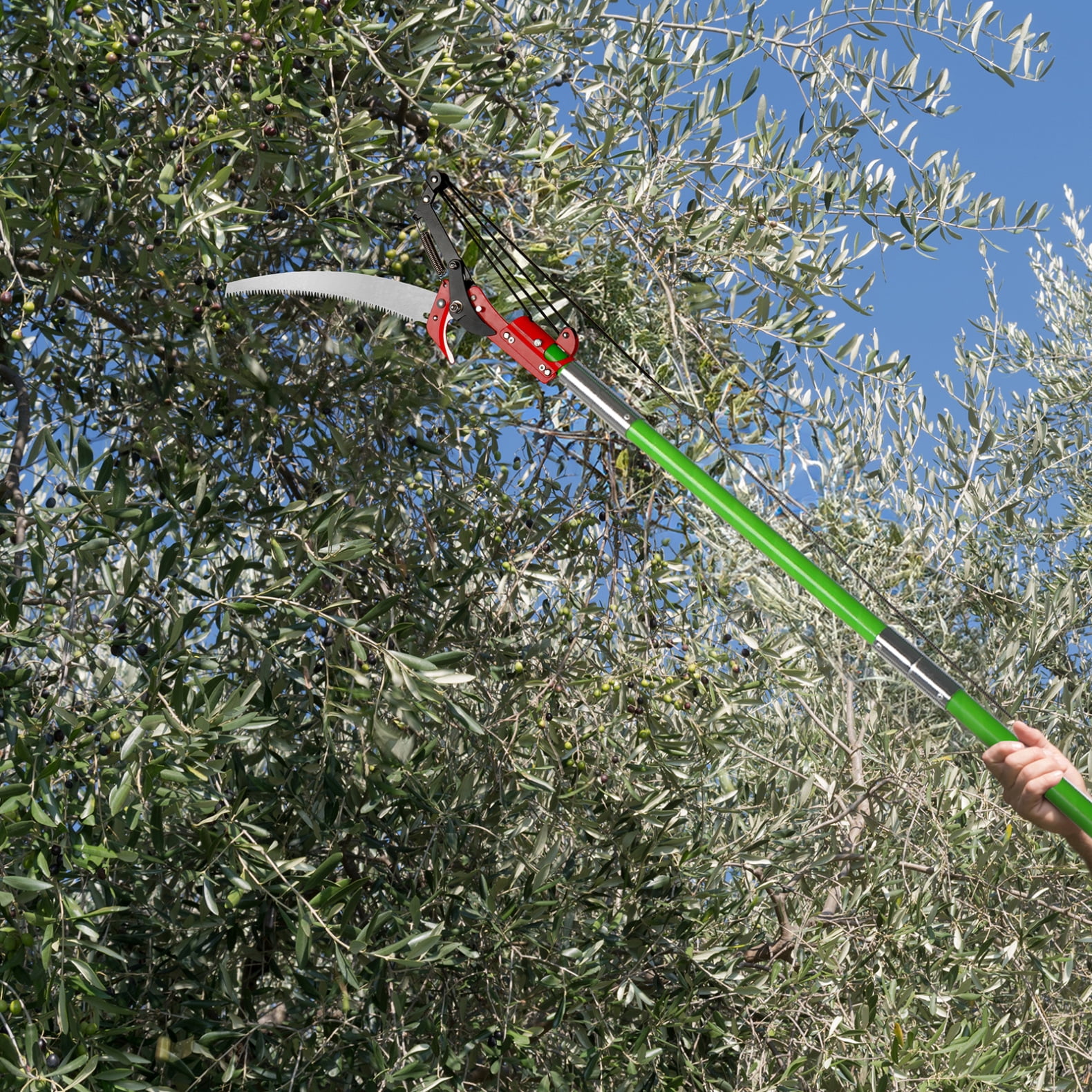 ARCTICSCORPION Pole Saw for Tree Trimming, Manual Branch Pruner with Fiberglass Handles (Green, 30 ft) rc19f