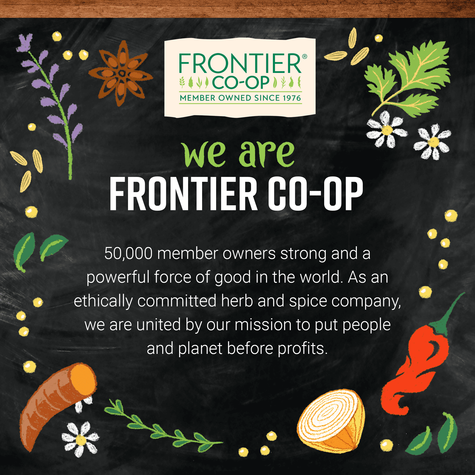 Frontier Co-op Organic Pure Vanilla Extract (Brown, 4 fl oz) mvw93