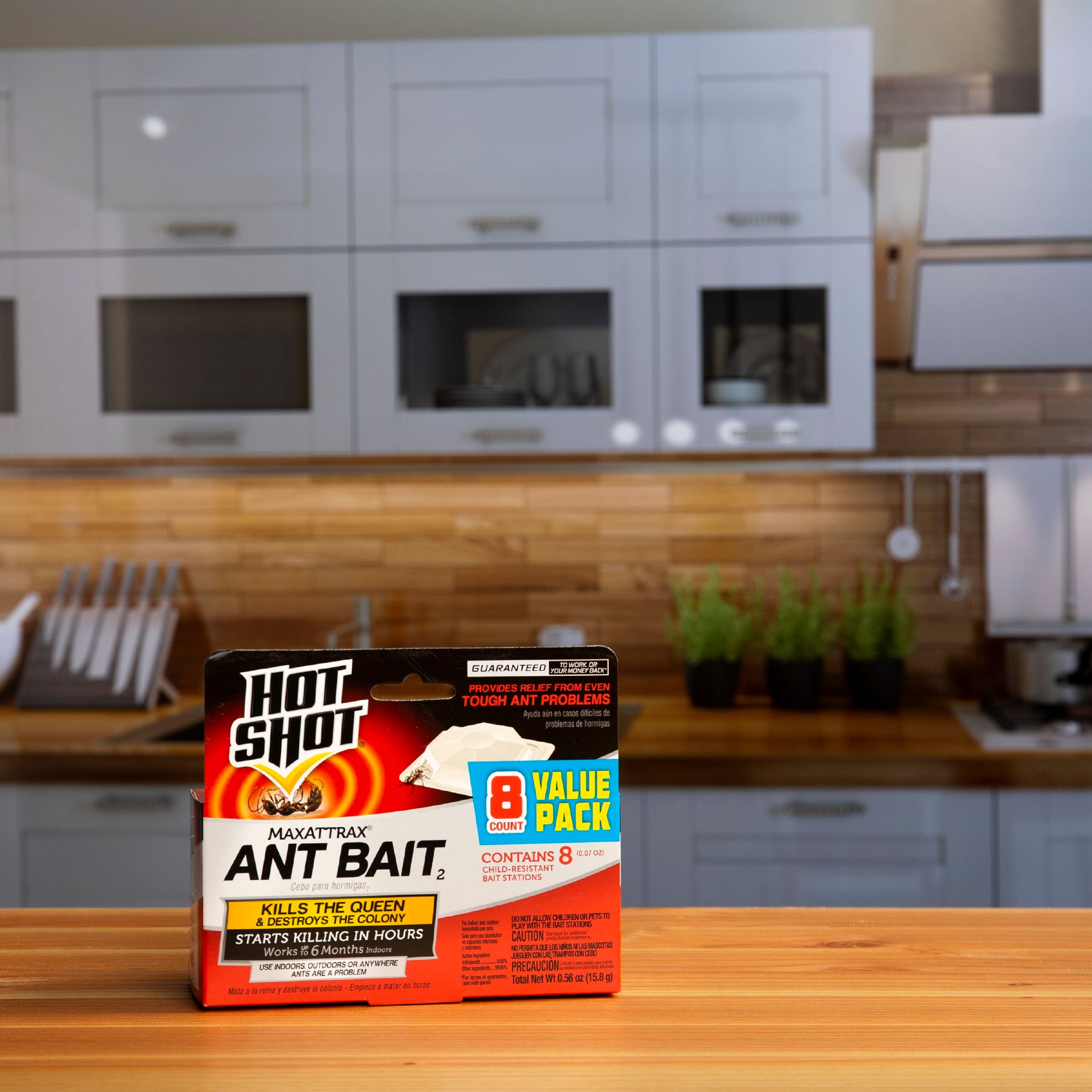 Hot Shot MaxAttrax Ant Bait Stations (8-Count) 8gbih