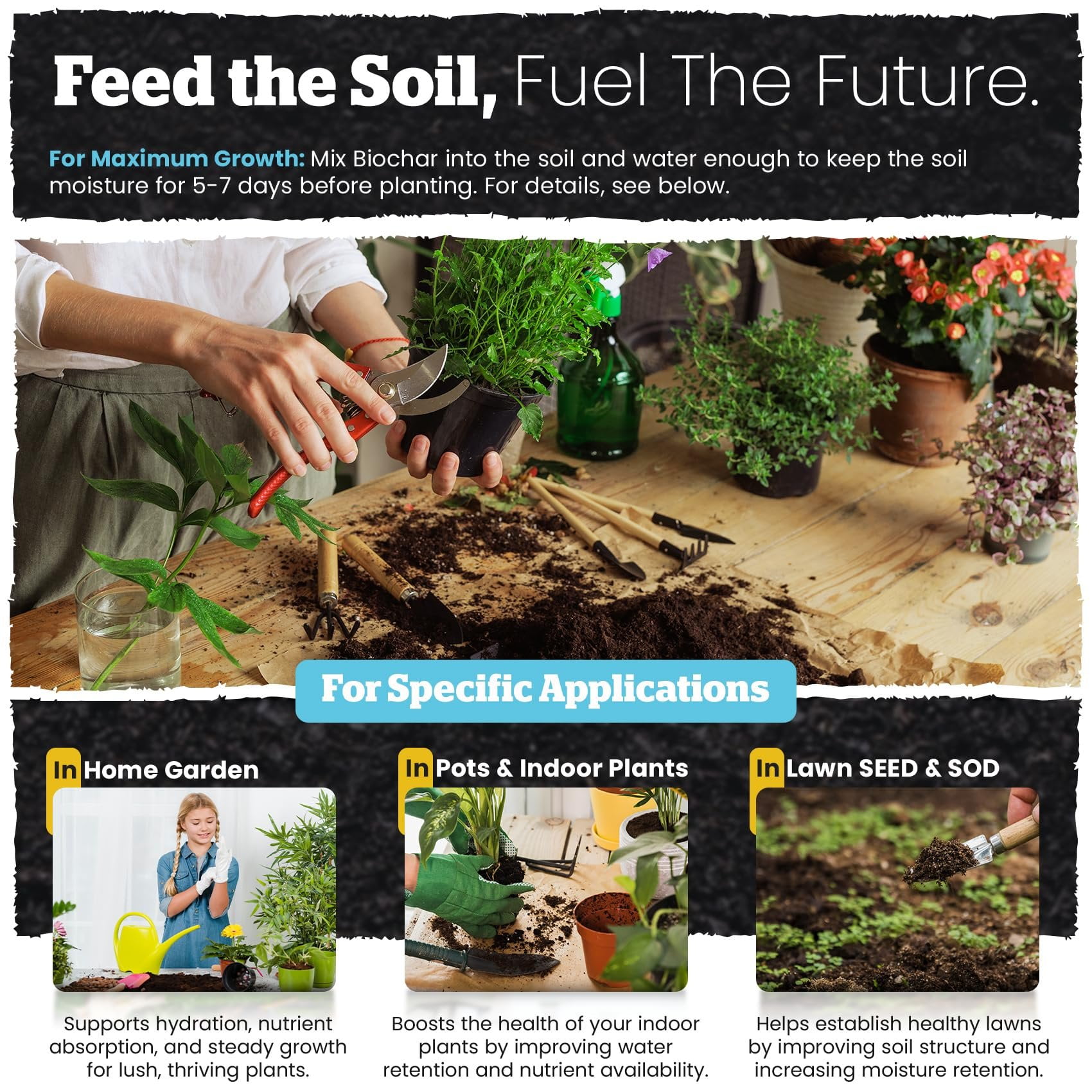 Wakefield Biochar Premium Soil Conditioner for Garden and Container Plants (4 qt) lb691