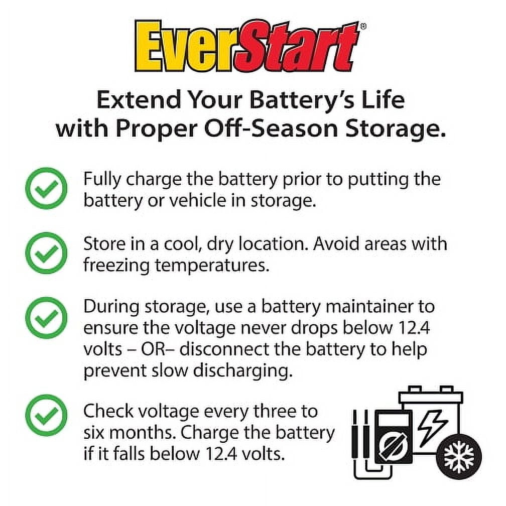 EverStart AGM PowerSport Battery (Group Size 12BS, 12 Volt, 180 CCA) y49r3