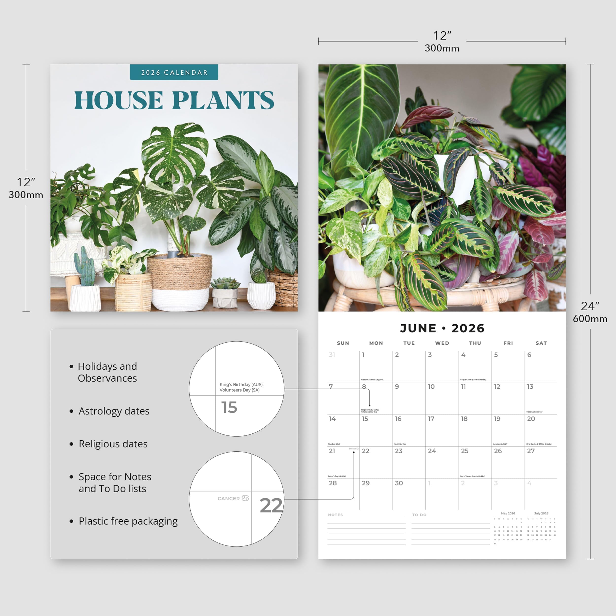 Red Robin Publishing 2026 House Plants Monthly Wall Calendar (Multicolor, 12 in x 24 in) 510n3