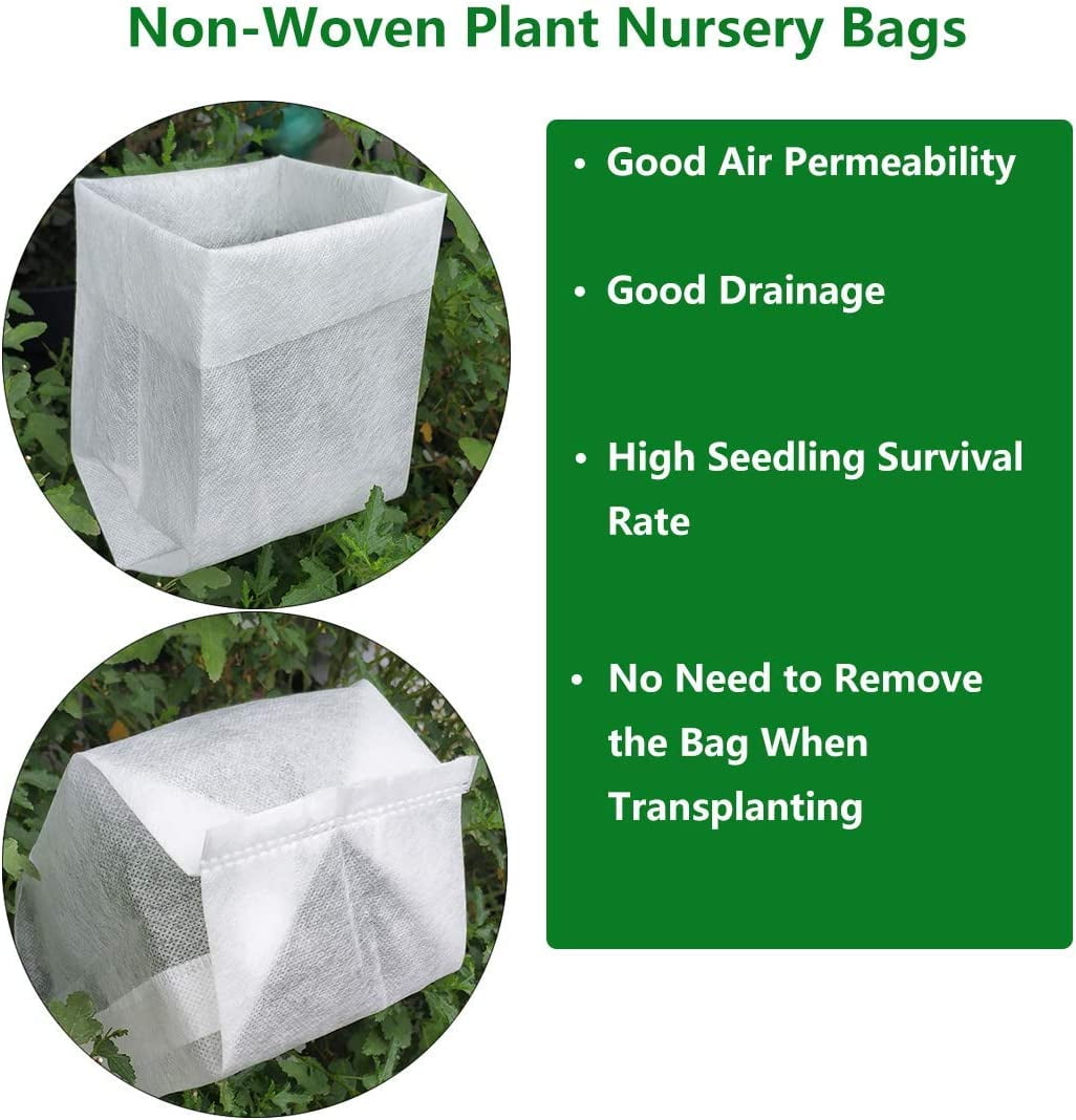 New Life Nursery & Garden Peggy Martin Climbing Rose Live Plant (Pink, 1 QT) ogvdh