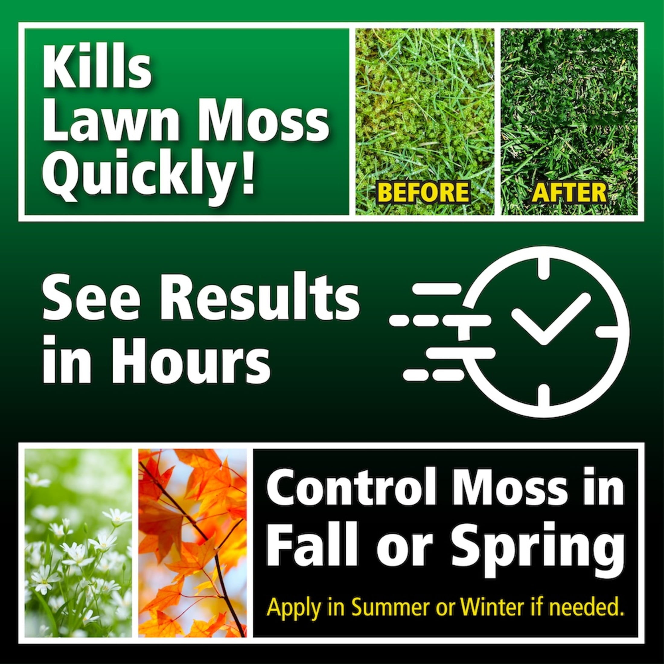 Lilly Miller Moss Out! Lawn Moss Killer Herbicide Concentrate (128 fl oz) nnw33