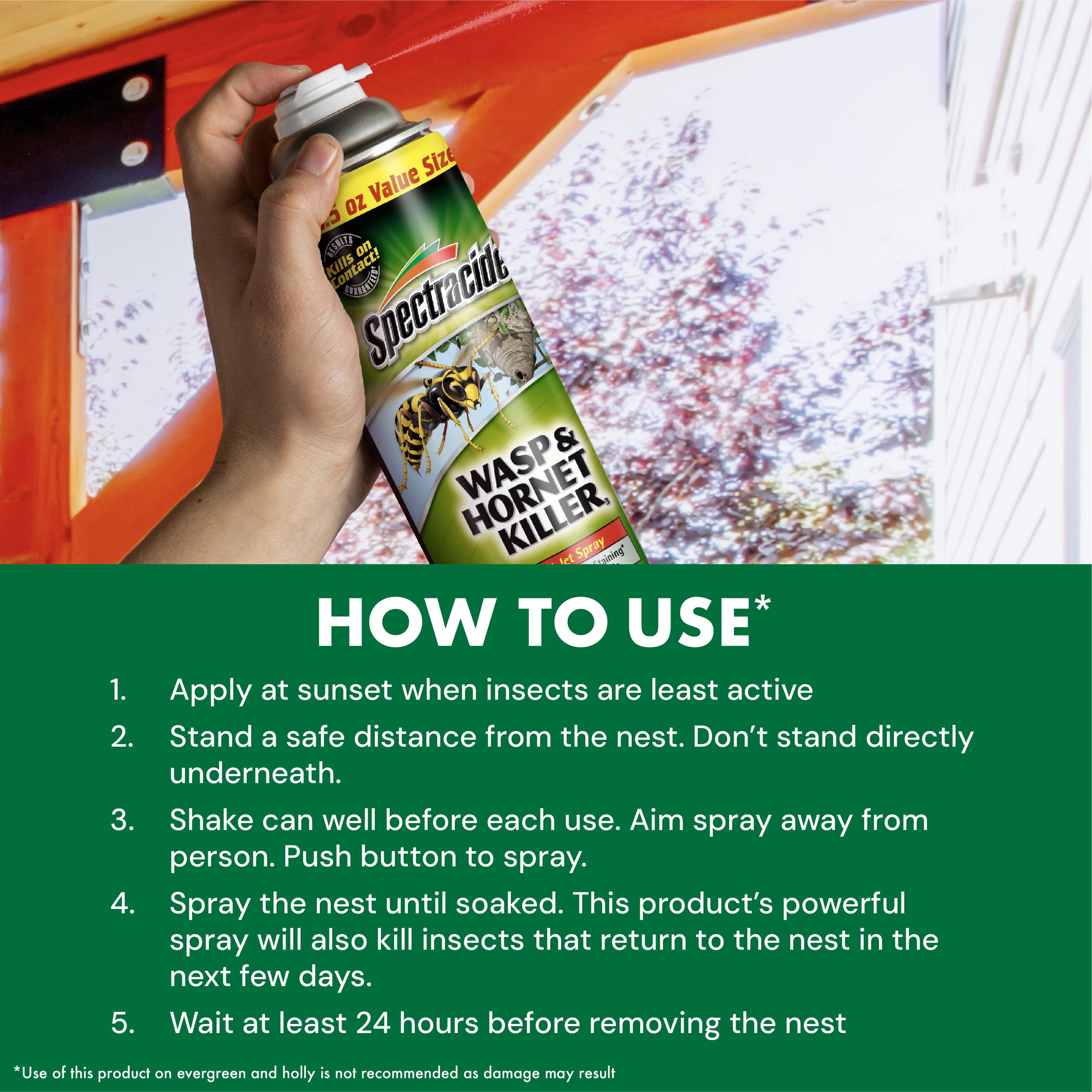 Spectracide Wasp & Hornet Killer Spray, Long-Range Jet Reach, Non-Staining Formula (18.5 oz) 0zs5h