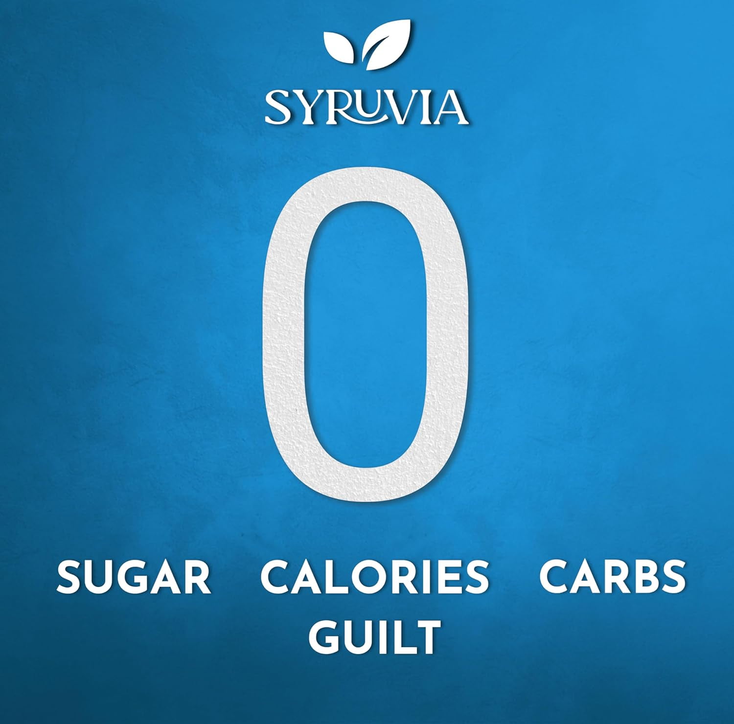 Syruvia Sugar Free Blueberry Coffee Syrup, Zero Calorie Flavoring for Lattes, Shakes, and Desserts (Blueberry, 25.4 fl oz) 3bbqk