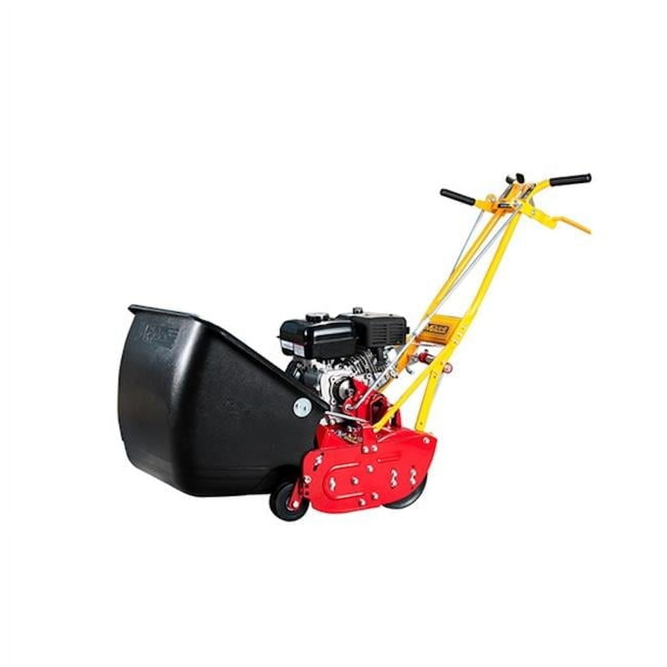 McLane 25 in. 10-Blade Greens Keeper Lawn Mower with Briggs & Stratton Engine (25 in.) plkt1