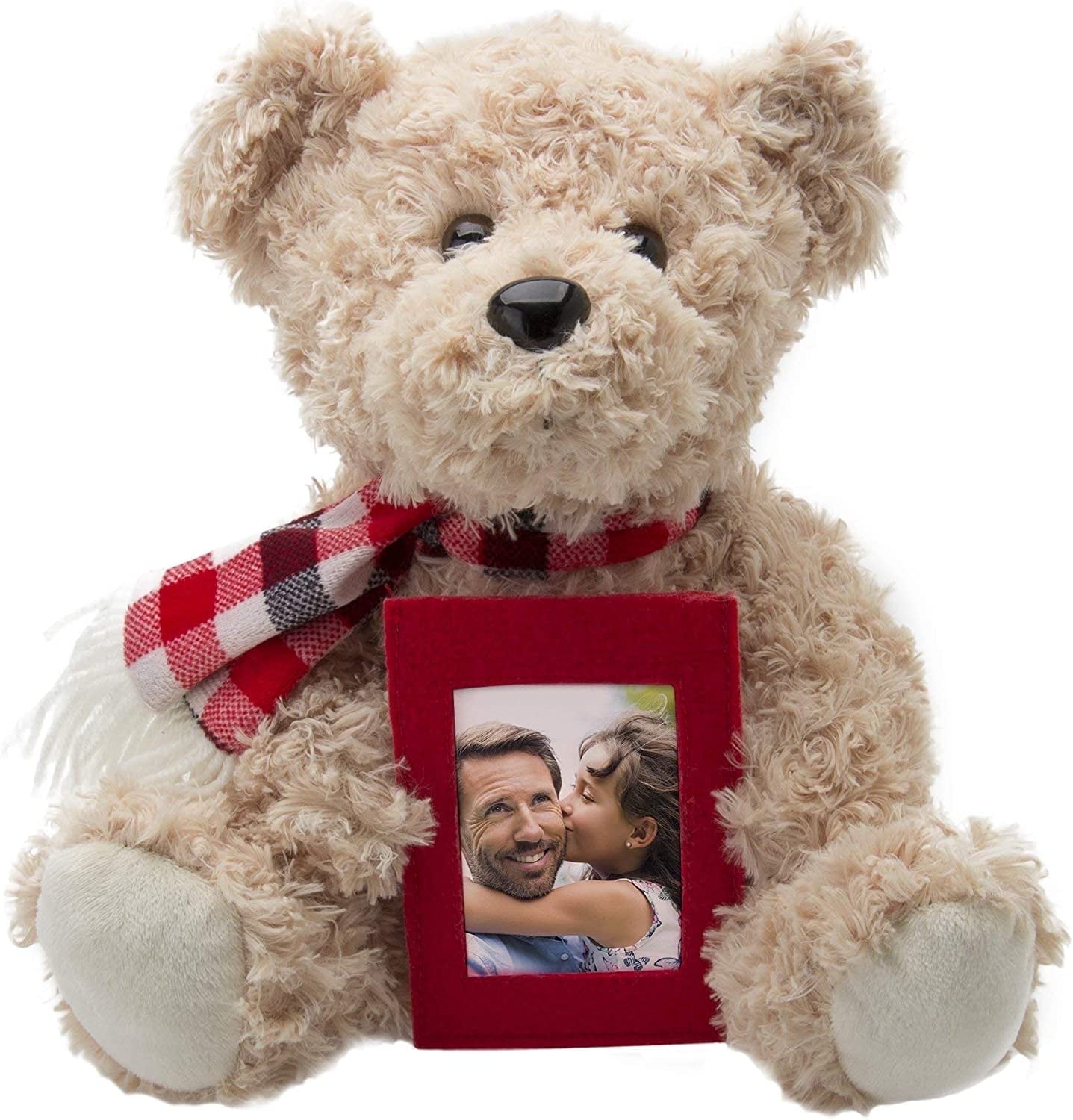Fine Photo Gifts Plush Teddy Bear with Picture Frame (Tan, 9.75 in x 8.5 in x 8 in) l8ahf