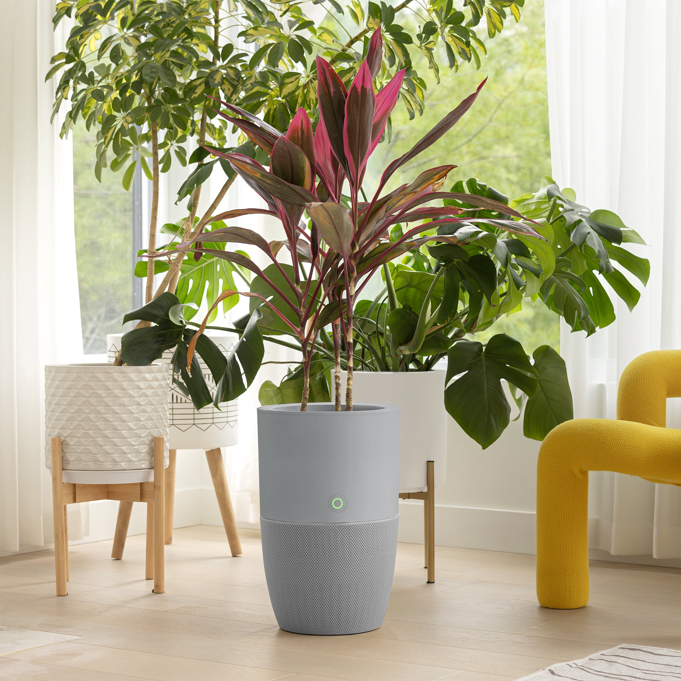 Dupray Bloom Smart Air Purifier for Large Rooms, HEPA-13 Filtration with AutoDetect Technology (Gray, 1517 sq ft) 5km0c