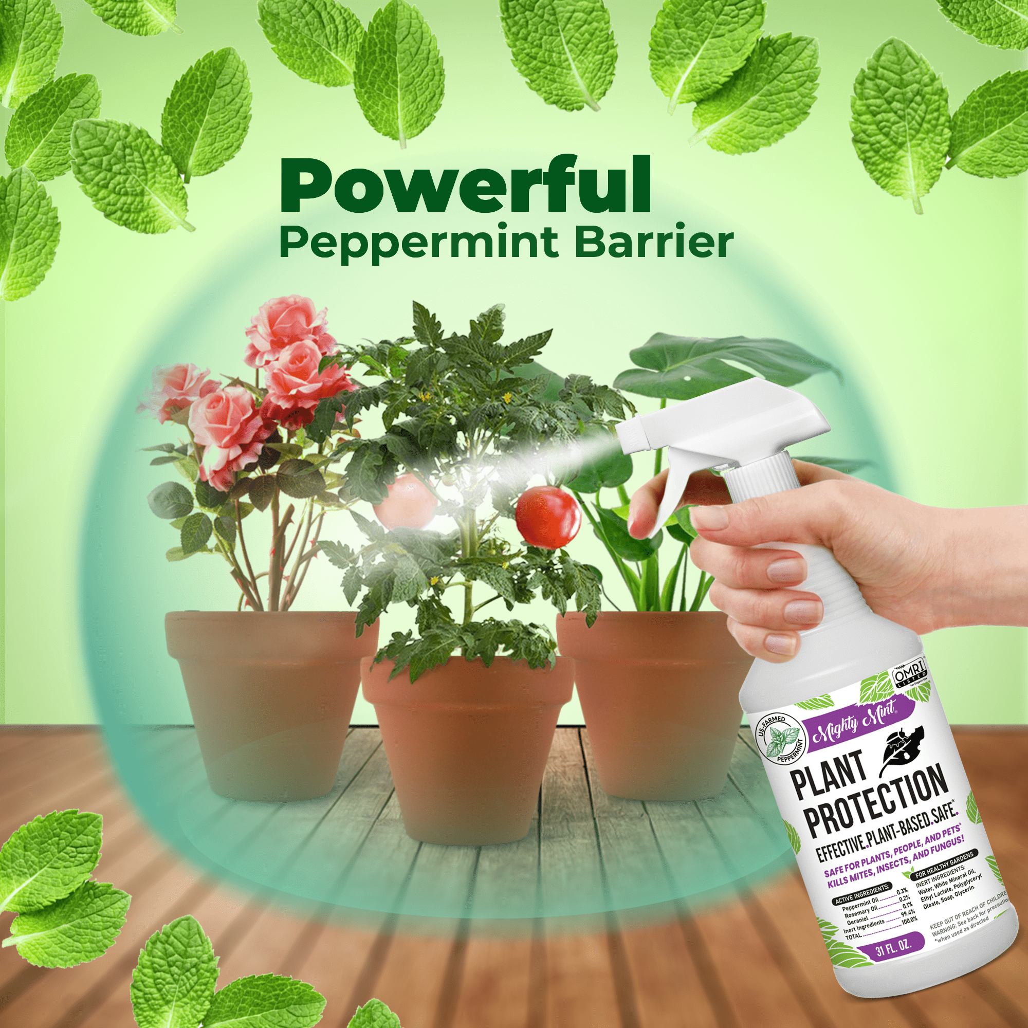 Mighty Mint Peppermint Oil Plant Protection Spray for Gnats, Spider Mites, and Aphids (White, 31 fl oz) ioqz3
