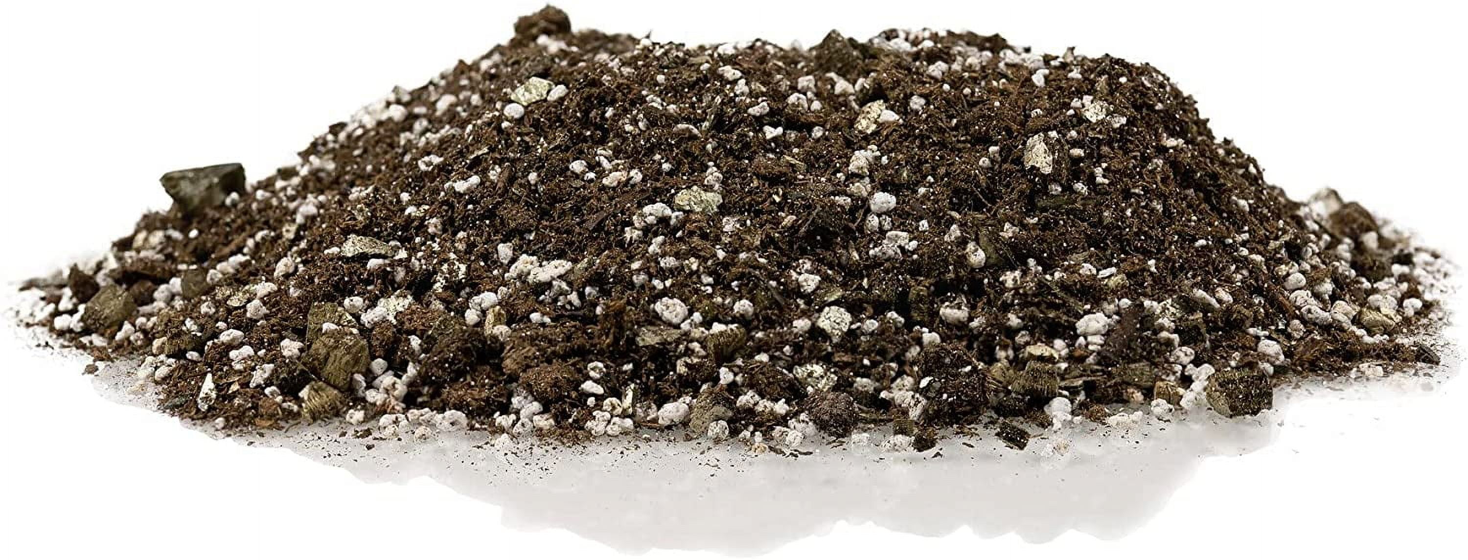 N Lova African Violet and Gesneriad Potting Soil Mix (1 Quart) zeo2o