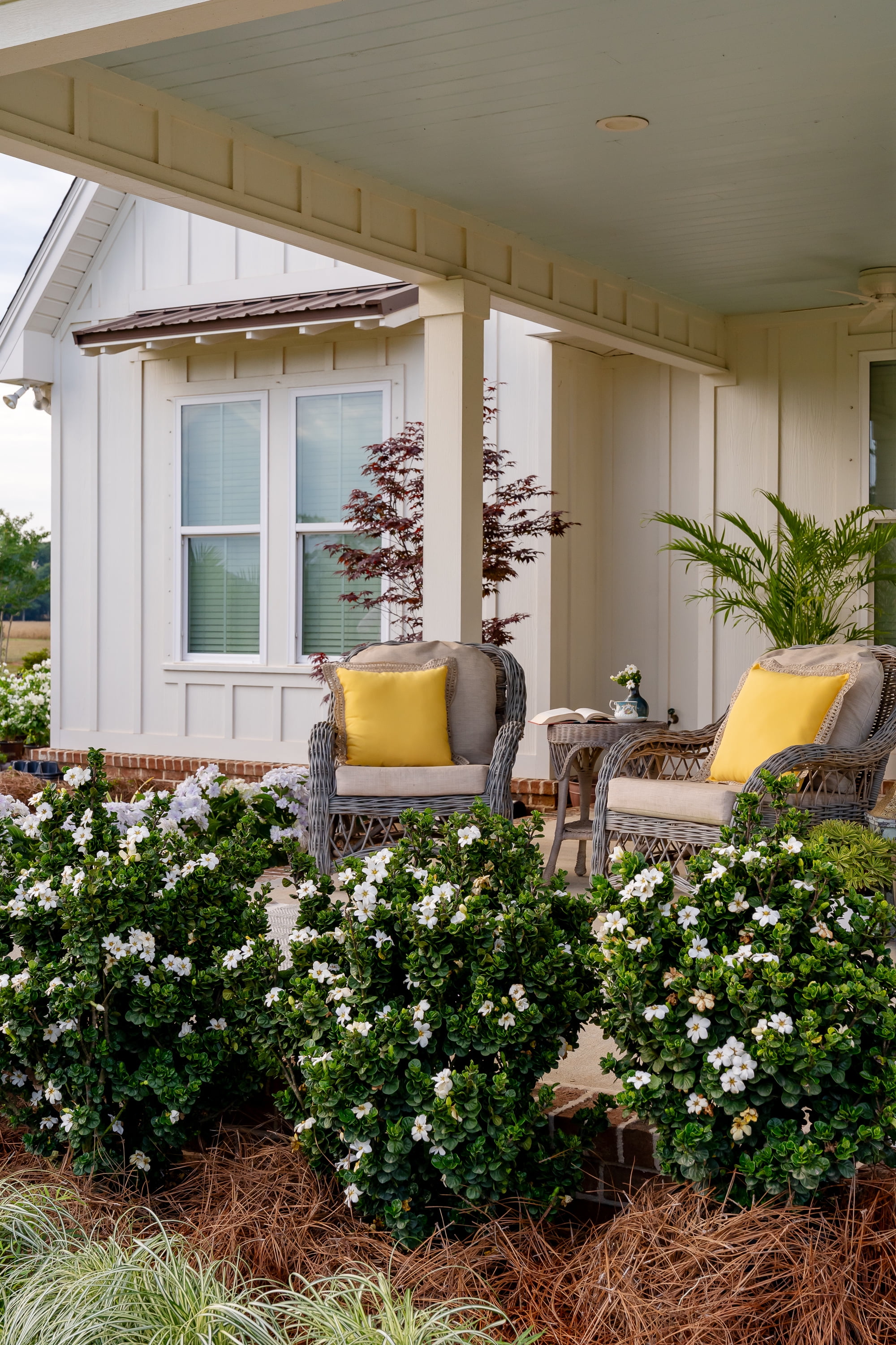 Southern Living Diamond Spire Gardenia Live Shrub (Creamy-White, 2.5 qt) ipiep