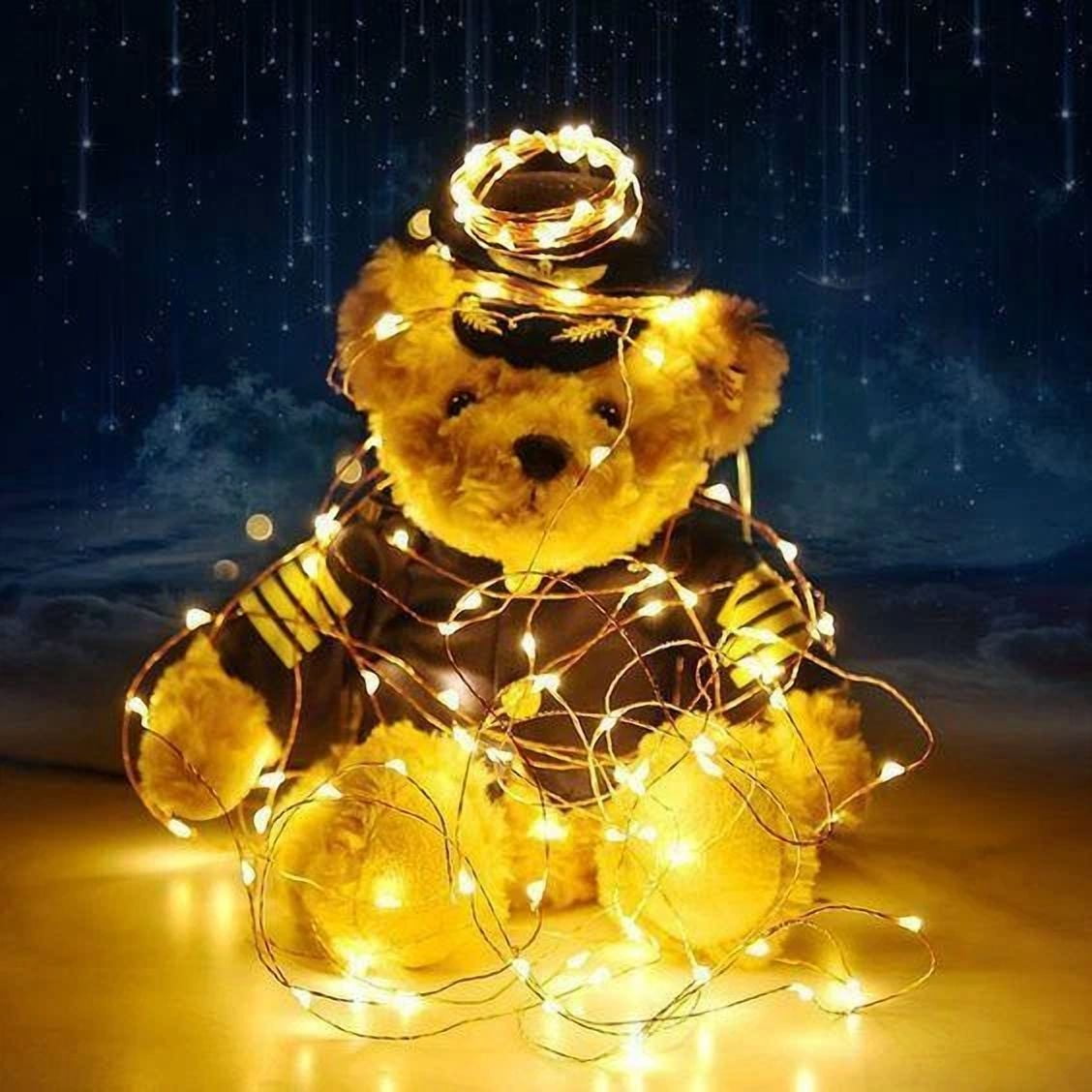 YANI LED Fairy String Lights, Warm White Decorative Lighting with Timer (6 ft) kclkg