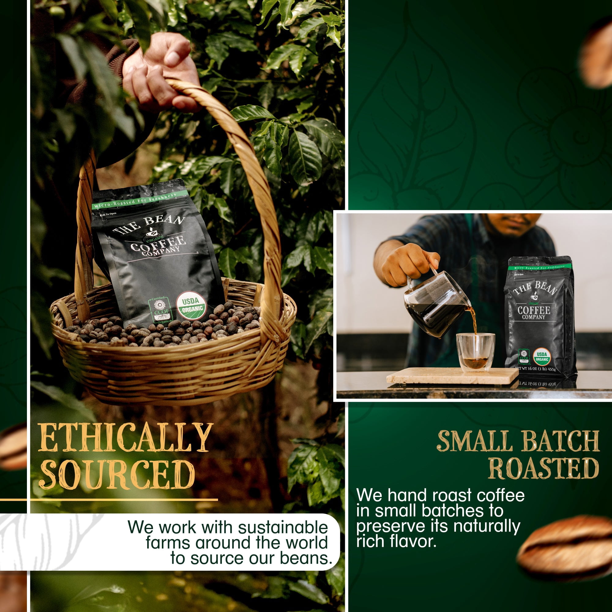 The Bean Organic Coffee Company Water Processed Decaf IL Chicco Dark Roast Ground Coffee (5 lb) ffuwq