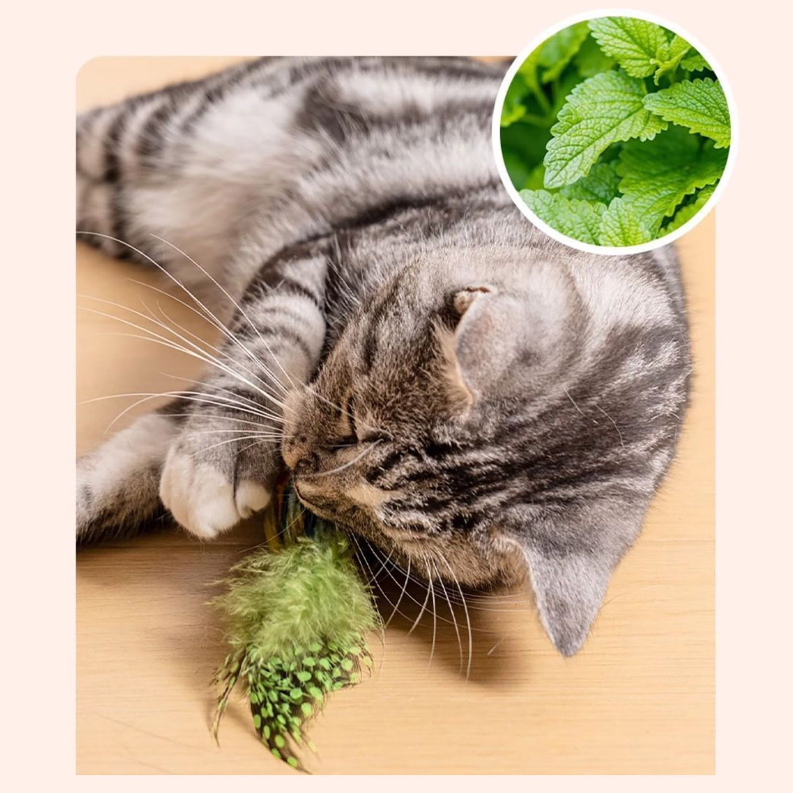 Infidev Interactive Flying Bird Cat Toy, Electric Flapping Wing Simulation Sparrow with Chirping Sound (Green, 1 Pack) 8y2wb