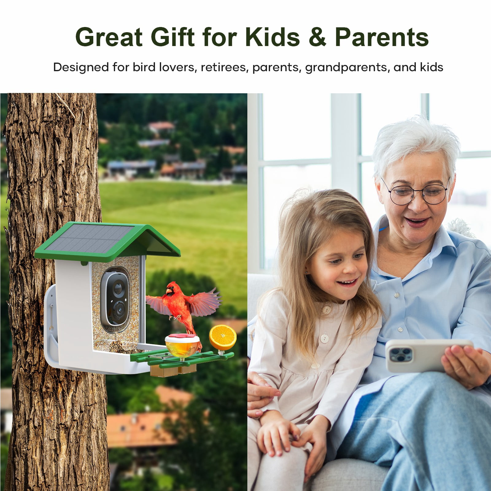 MADTASK Smart Bird Feeder with Camera, Solar Powered Outdoor Wireless WiFi Birdhouse with AI Recognition (Green, 1 Pack) nvml9