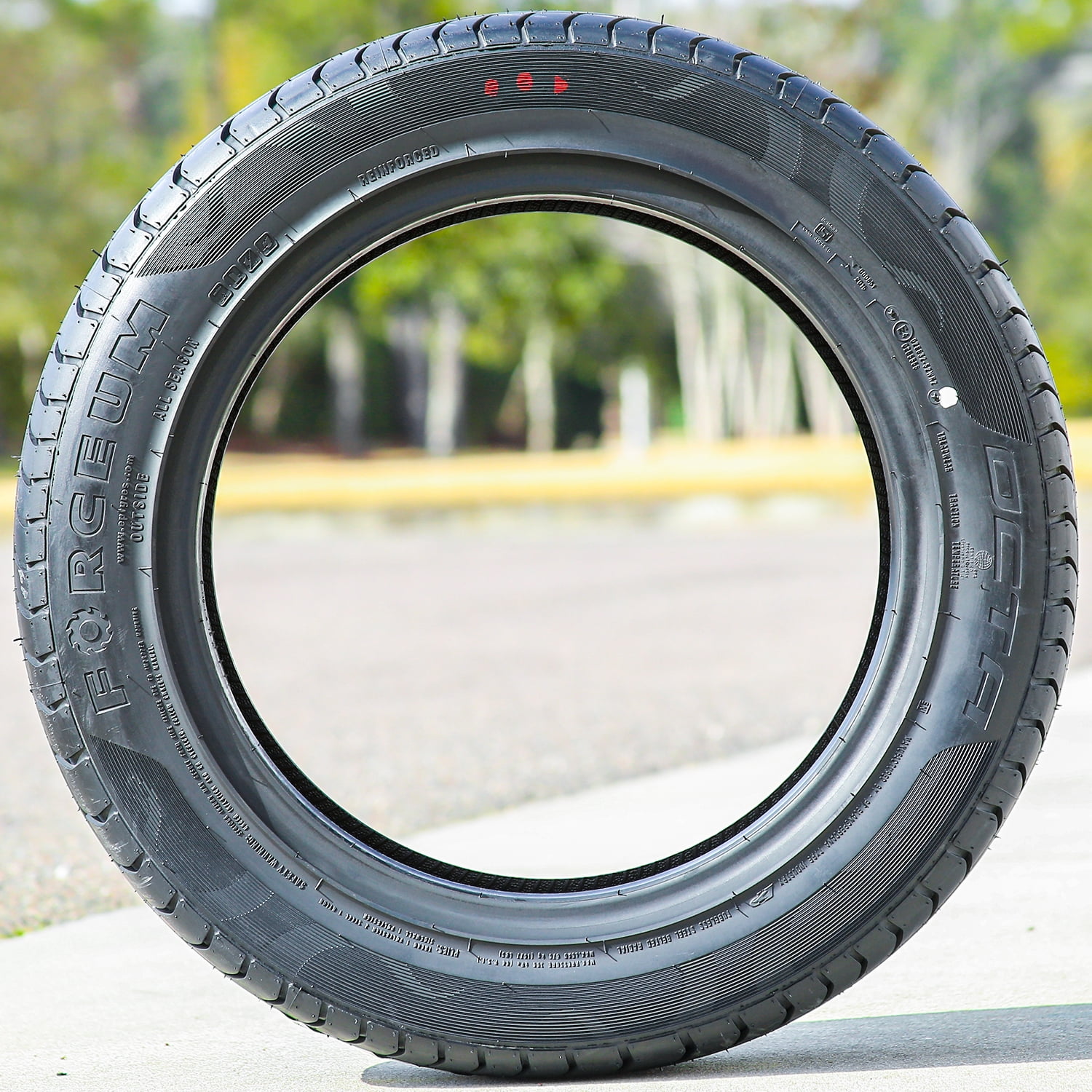 Forceum Octa High Performance All-Season Tires (225/60R16, 4-Pack) figuk
