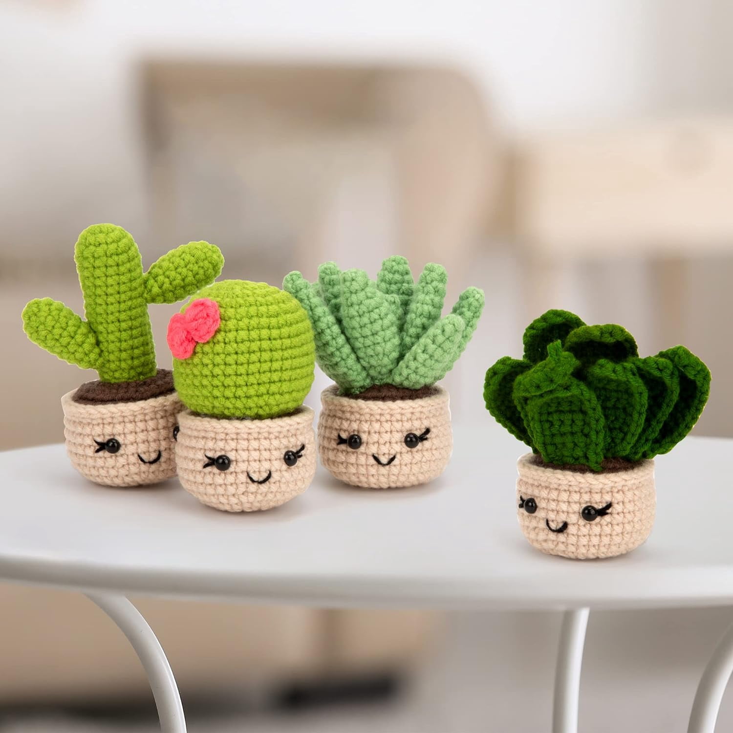 Xinyi Crochet Kit for Beginners Adults (6 Pcs Succulent Plants, DIY Craft Activity Set) 9zqa7
