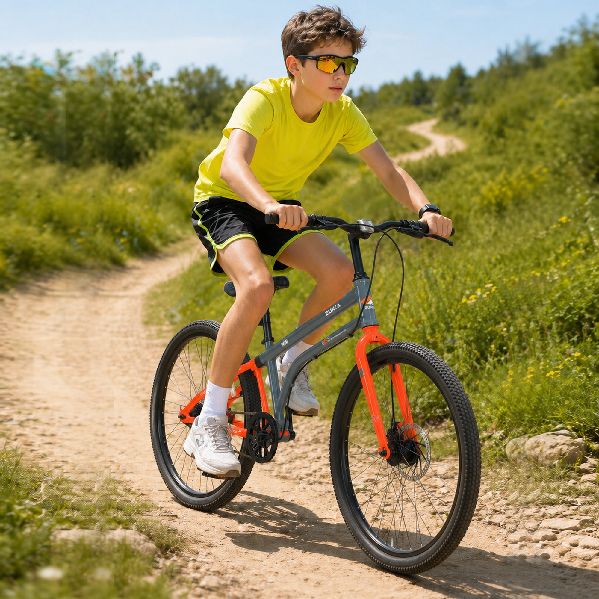 MEGHNA 24 in Mountain Bike Single Speed MTB with Dual Disc Brakes and Carbon Steel Frame (Gray, 24 in) 7rp7v