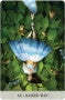 Catrin Welz-Stein Tarot of Mystical Moments Deck, Borderless Cards with Silver Gilt Edges (83-Card Set) pmtae
