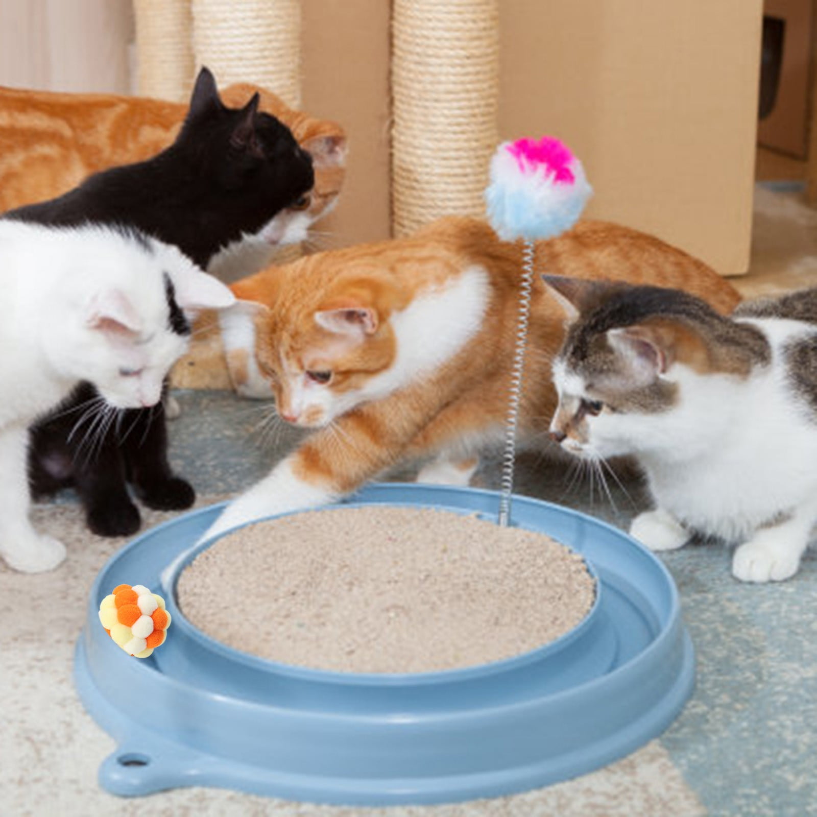 ACCEORR Interactive Cat Toy Plush Balls with Sound (Multi-Color, 2 in) l53pj