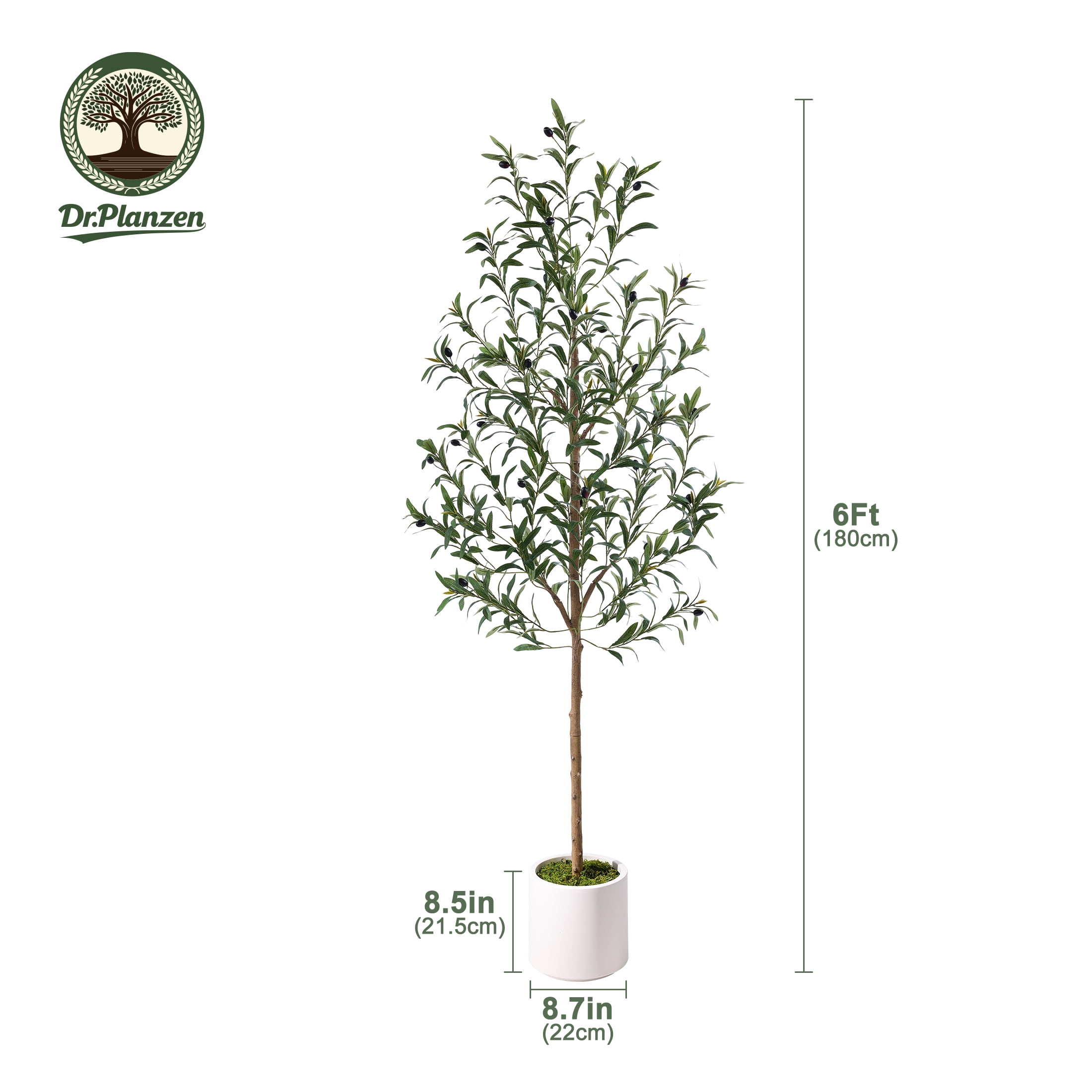 DR.Planzen Artificial Olive Tree with Realistic Fruits and Planter (Green, 6 ft) 2nhck