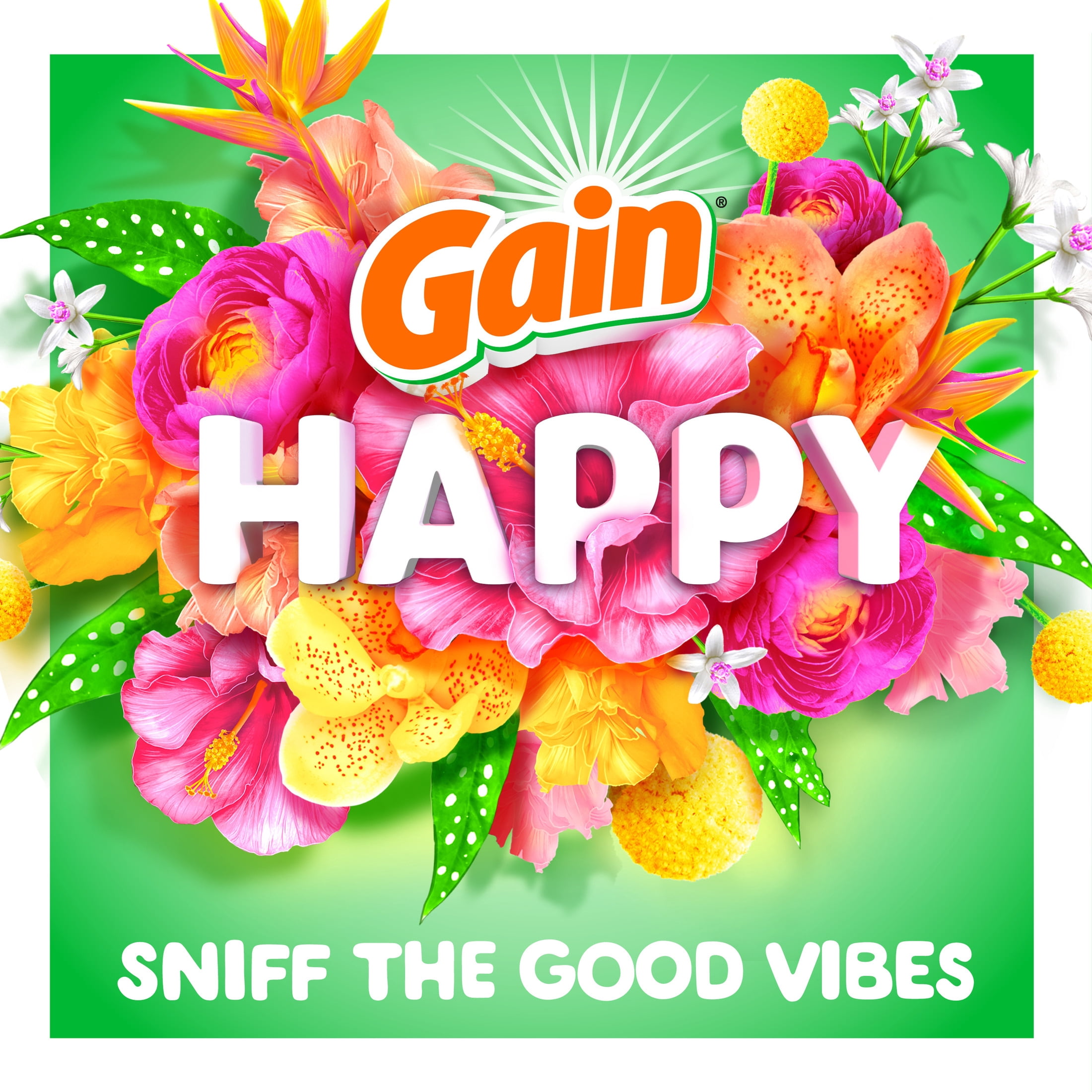 Gain In-Wash Laundry Scent Booster Beads, Hibiscus Hula Fragrance (24 oz) isle4