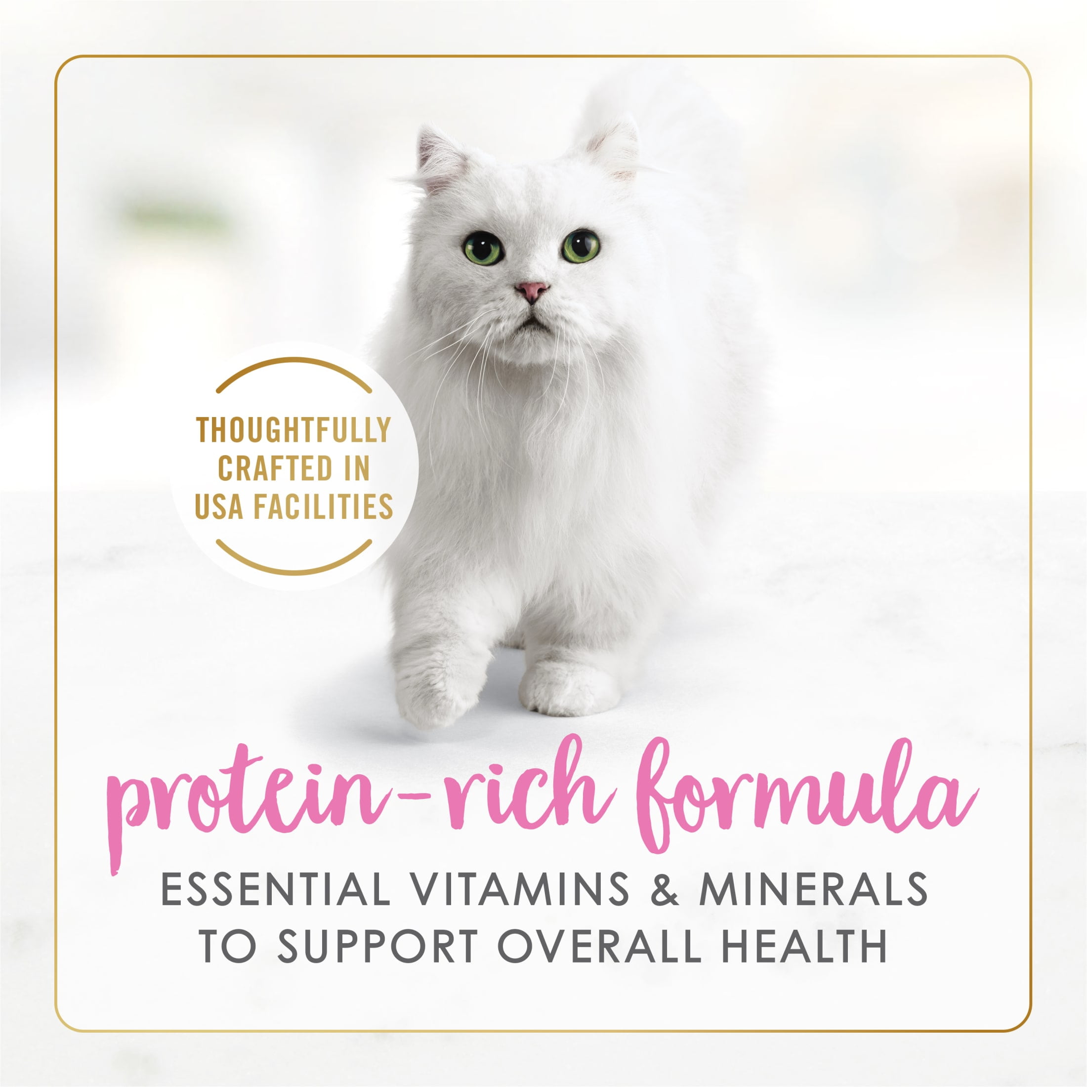 Fancy Feast Sliced Kitten Wet Food, Chicken Heart & Liver Recipe in Gravy (3 oz) 048y5