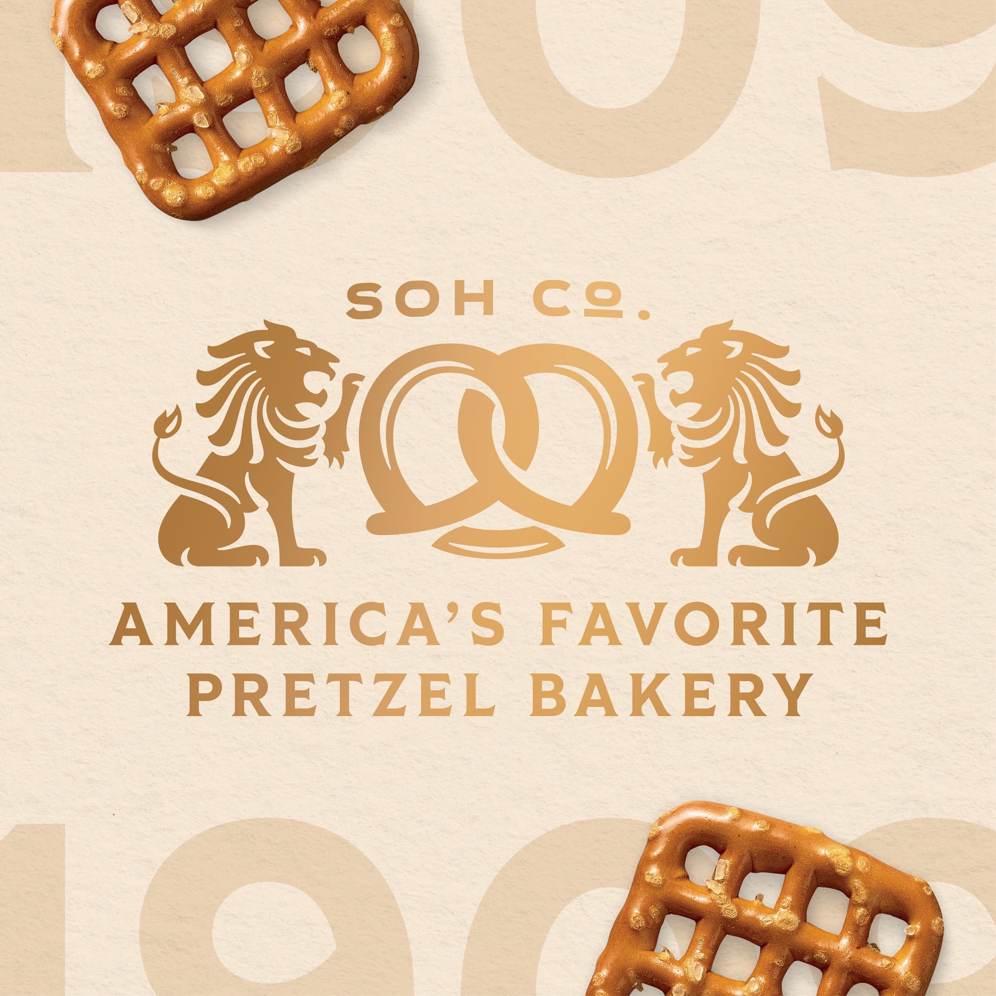 Snyder's of Hanover Snaps Pretzels, Crunchy Checkerboard Snack (16 oz) y3vpw