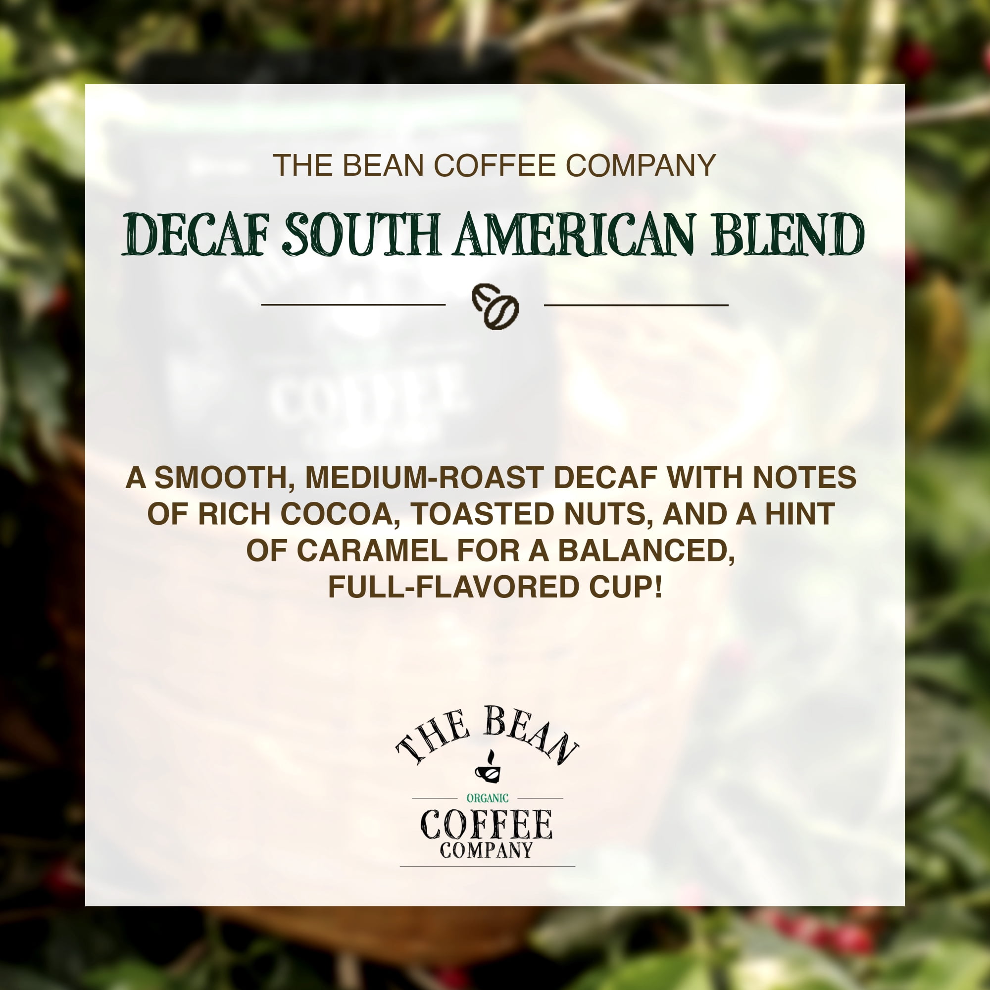 The Bean Organic Coffee Company Decaf South America Blend Medium Roast Ground Coffee (16 oz) o96i6