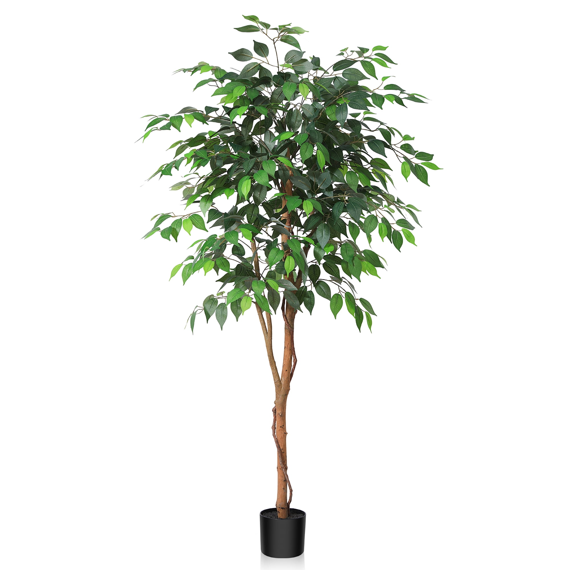 DR.Planzen Artificial Ficus Tree, Lifelike Indoor Floor Plant with Natural Wood Trunk (Green, 60 in) jofpa