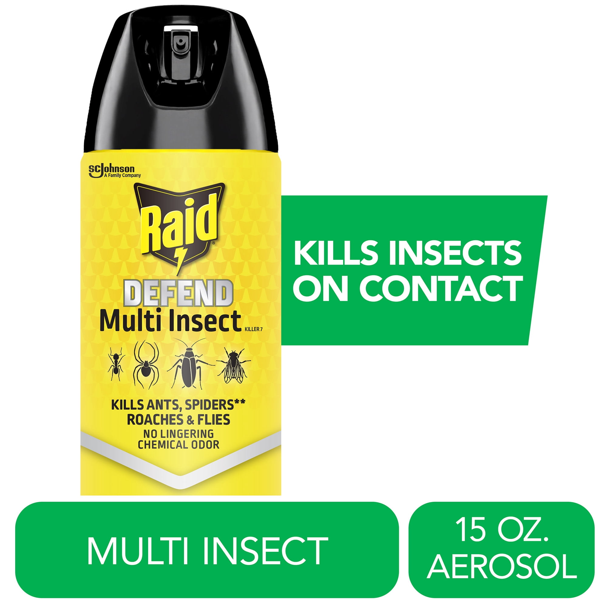 Raid Multi-Insect Killer Spray for Indoor and Outdoor Use (15 oz) ikq5t