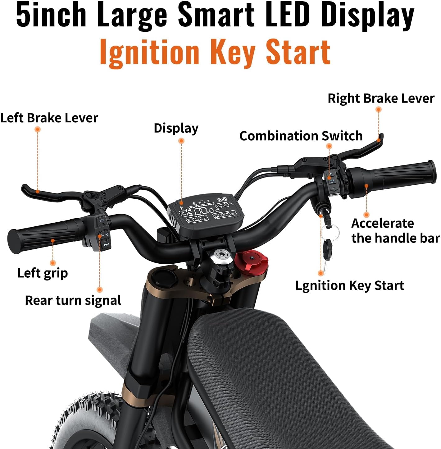 Riding'Times GT73 Pro Electric Bike, 3000W Dual Motor Off-Road E-Bike with Hydraulic Brakes (Black, 25 in x 3 in Tires) wi7x3
